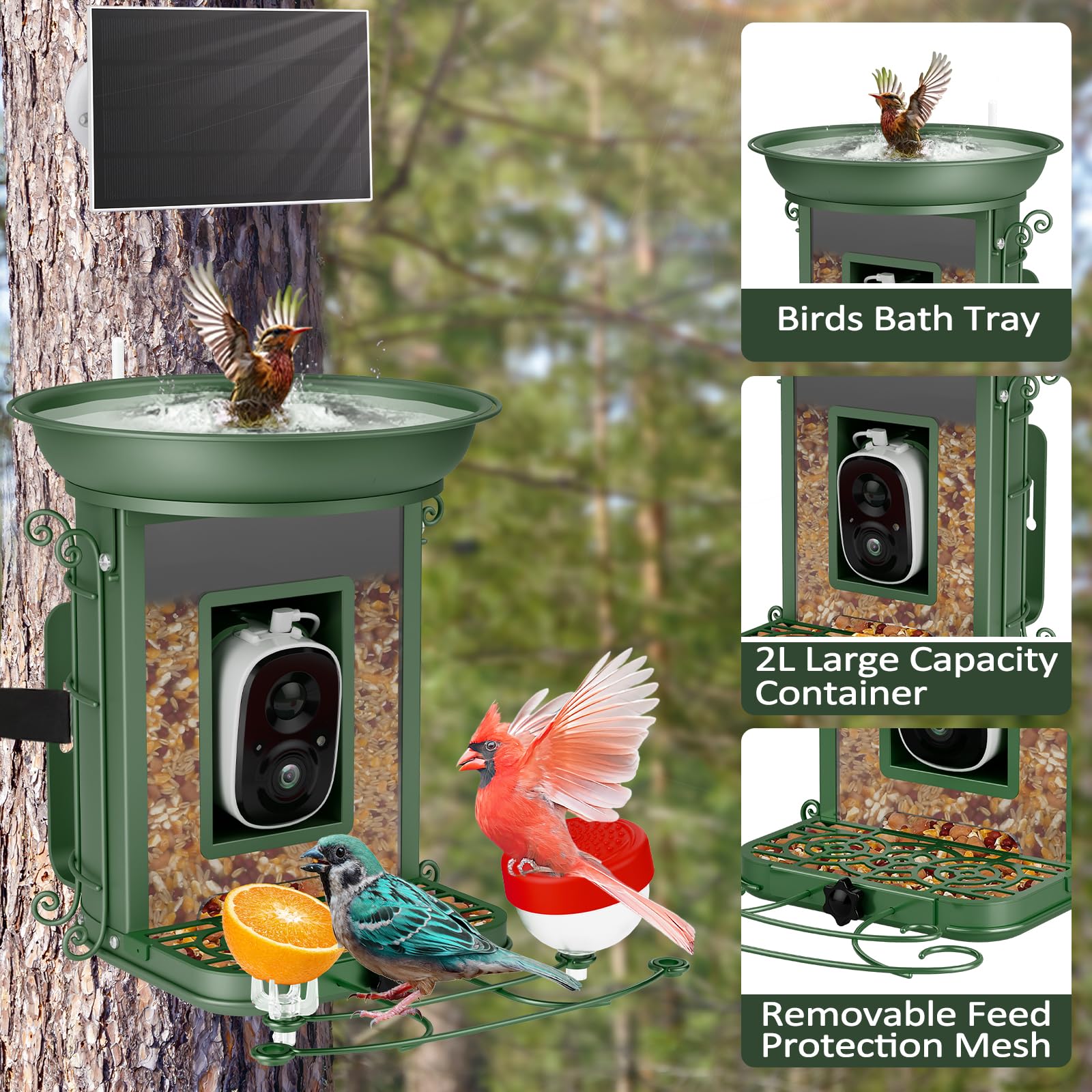 Smart Bird Feeder with 2K HD Camera - AI-Powered Bird Identification for 11,000+ Species | Live Video Streaming & Outdoor Wildlife Watching | Perfect Gift for Bird Lovers & Nature Enthusiasts (Use in Backyards, Gardens & Nature Exploration)
