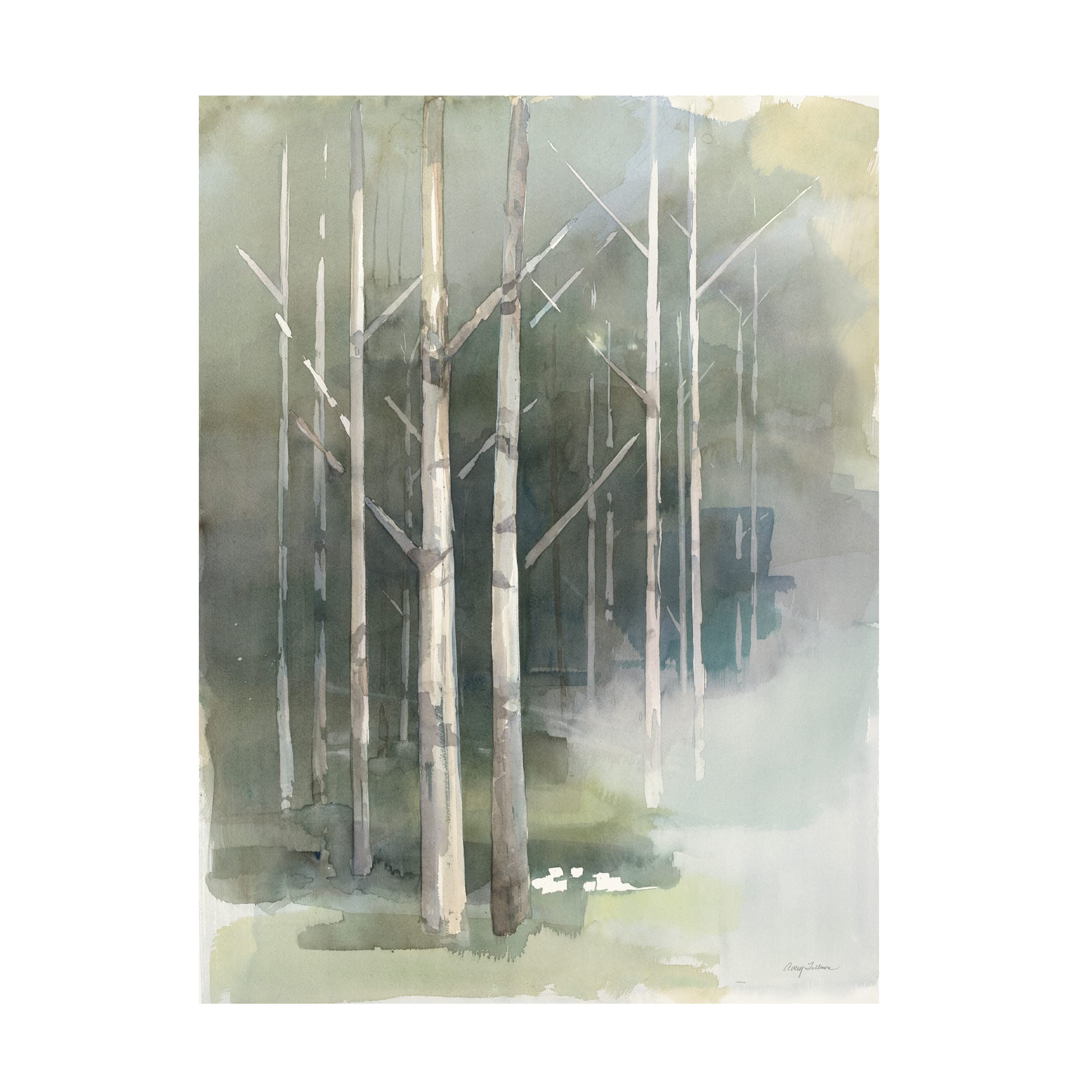 Trademark Fine Art 'Birch Grove II' Canvas Art Print by Avery Tillmon - Modern Landscape Wall Decor for Living Room, Bedroom & Office