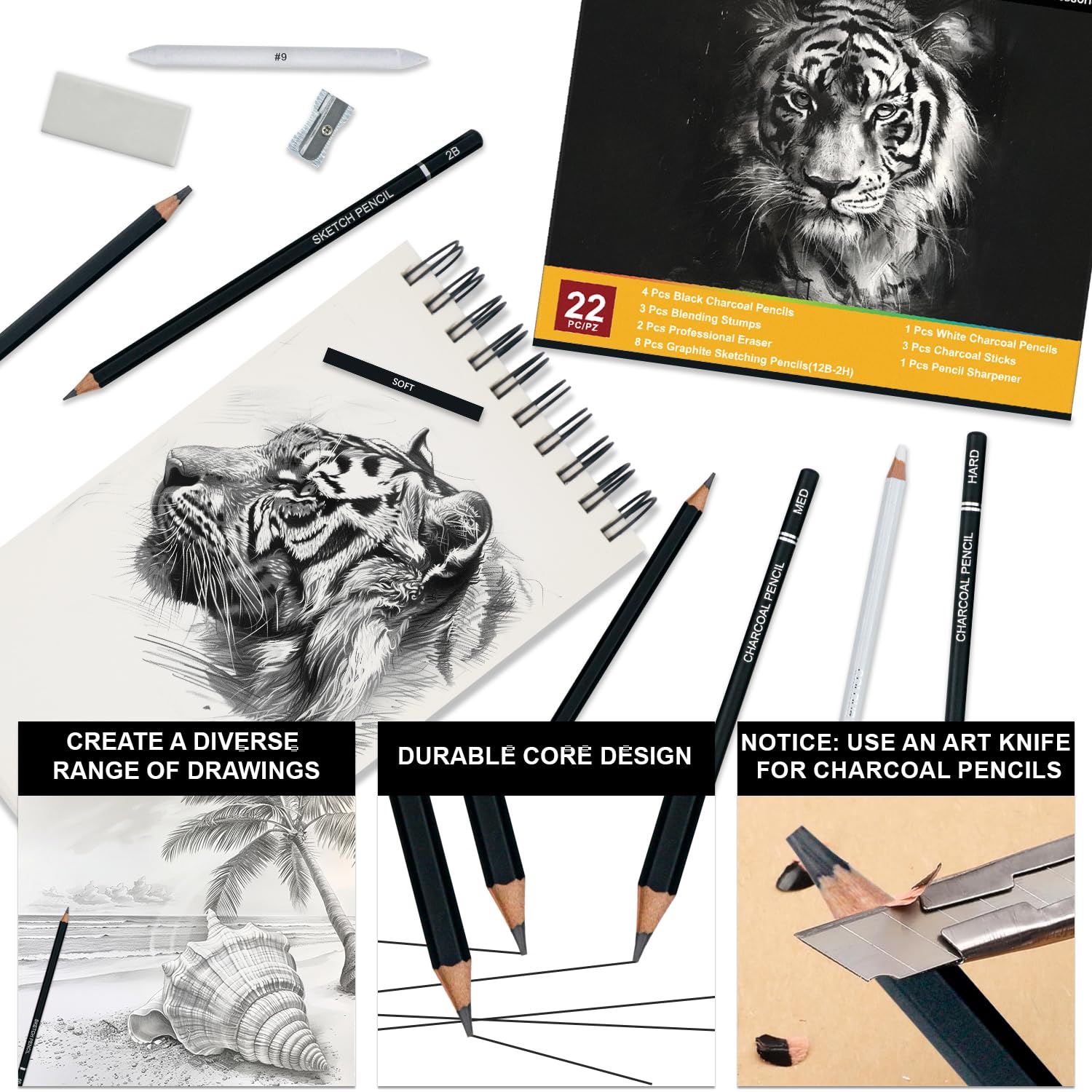 Professional 22-Piece Charcoal Pencil Set for Drawing & Sketching - Art Supplies for Shading, Detailing & Sketching - Ideal for Beginners & Professional Artists - Perfect for Portraits, Landscapes & Still Life Drawings
