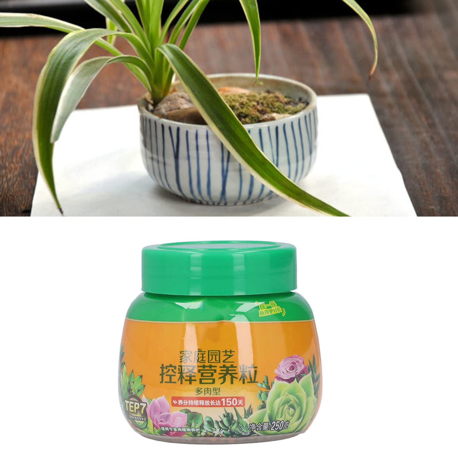 Zerodis Slow-Release Fertilizer Pellets - Balanced Nutrient Formula for Succulents & Houseplants | Long-Lasting Plant Food for Indoor & Outdoor Gardening | Perfect for Pots, Terrariums, and Garden Beds