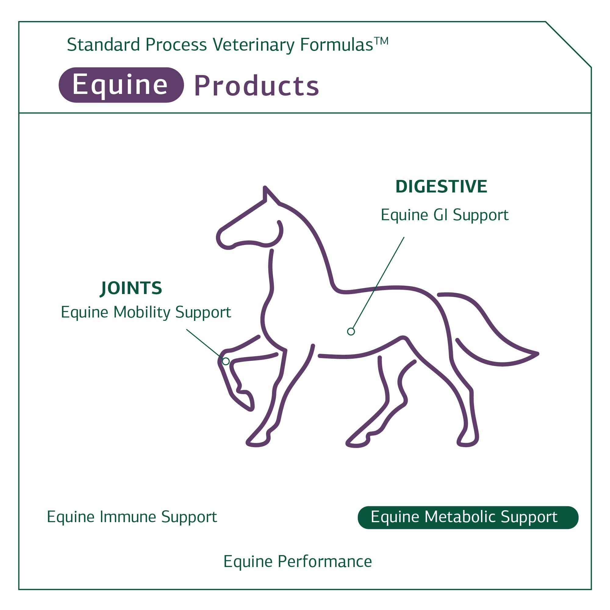 Standard Process Equine Metabolic Support Powder - Whole Food Horse Supplement with Green Tea Extract & Cayenne Pepper - 1134g for Healthy Digestion & Energy - Ideal for Performance Horses & Senior Equines