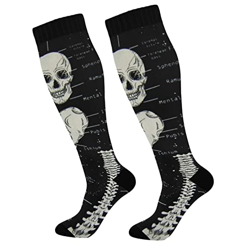 Dark Skeletons Anatomy