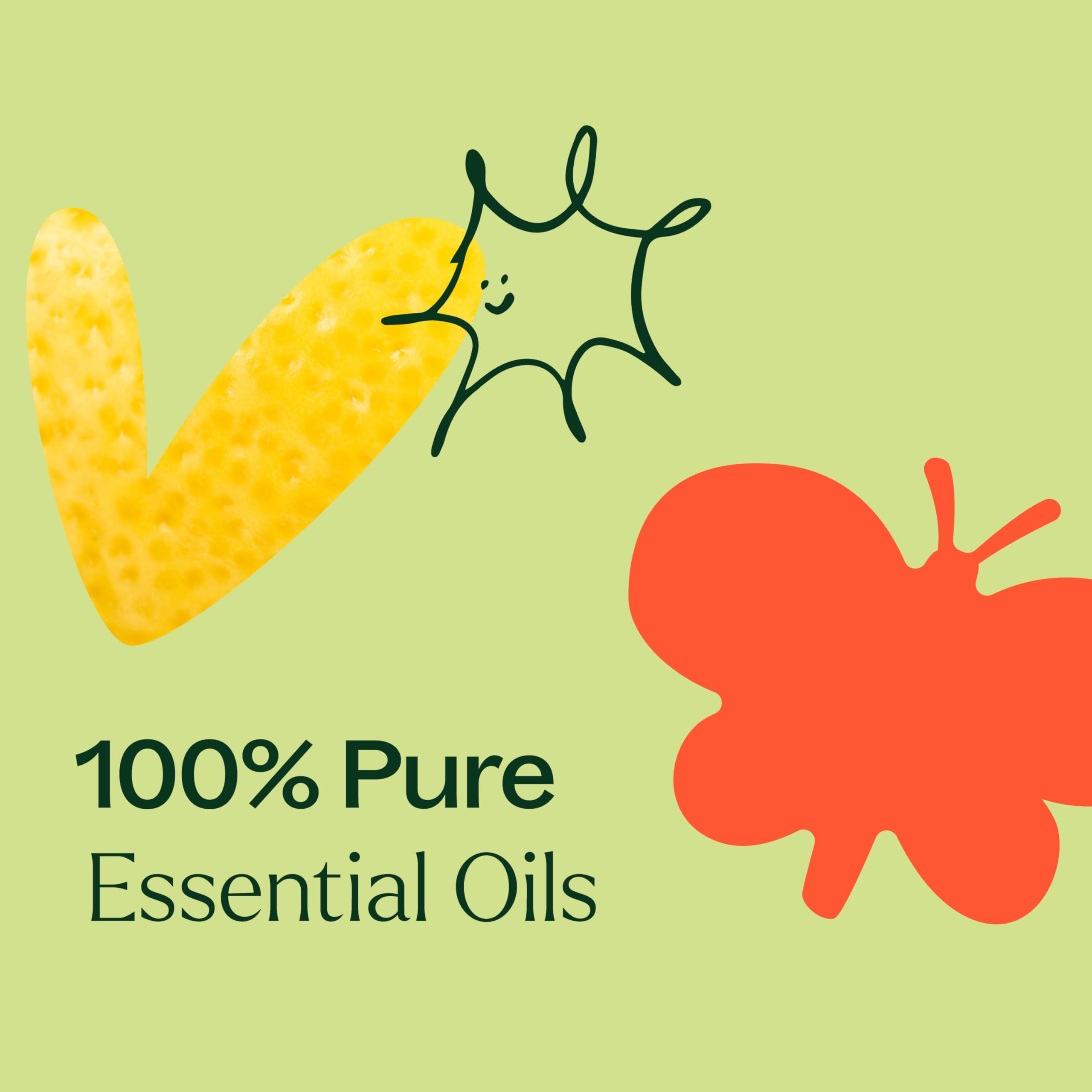 Plant Therapy Top 14 Organic Essential Oil Singles Set - 100% Pure, Undiluted Natural Aromatherapy Oils for Diffusers & Body Care - 10mL (1/3 oz) Each - Perfect for Relaxation, Stress Relief & Home Fragrance