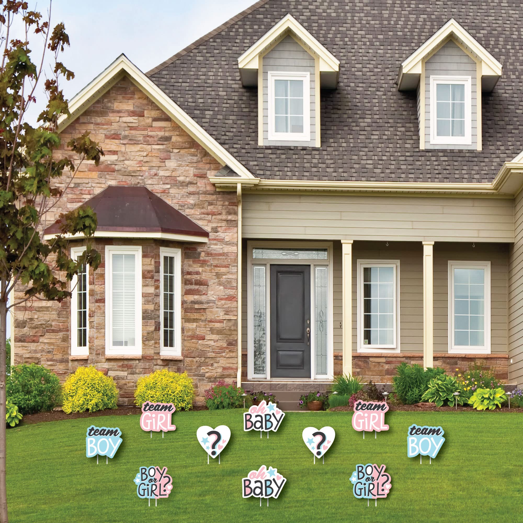 Big Dot of Happiness Baby Gender Reveal Lawn Decorations - Outdoor Boy or Girl Party Yard Signs - 10-Piece Set for Gender Reveal Party, Baby Shower & Backyard Celebration