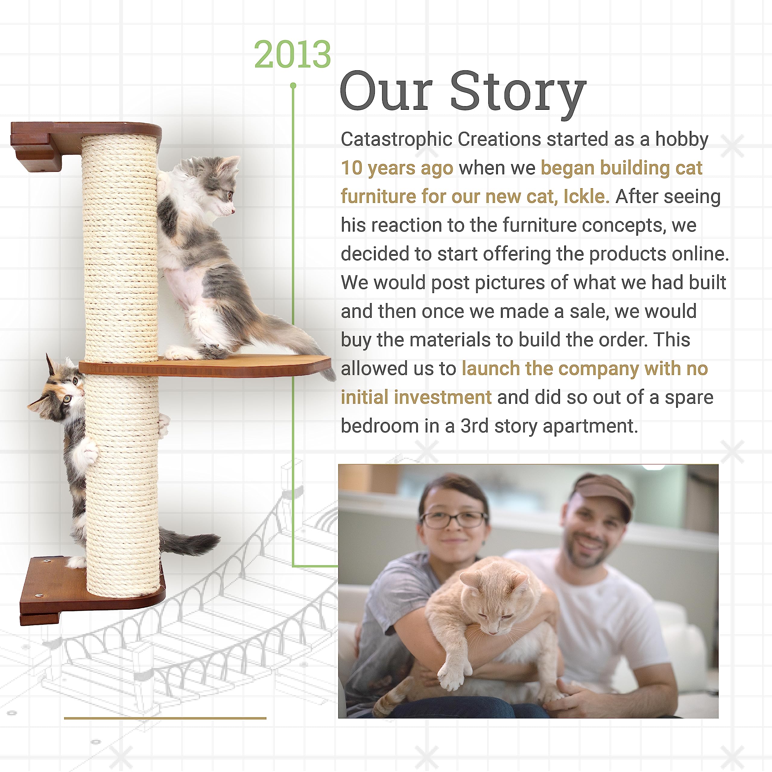 Wall-Mounted Cat Tree & Climbing Shelves for Play & Lounge