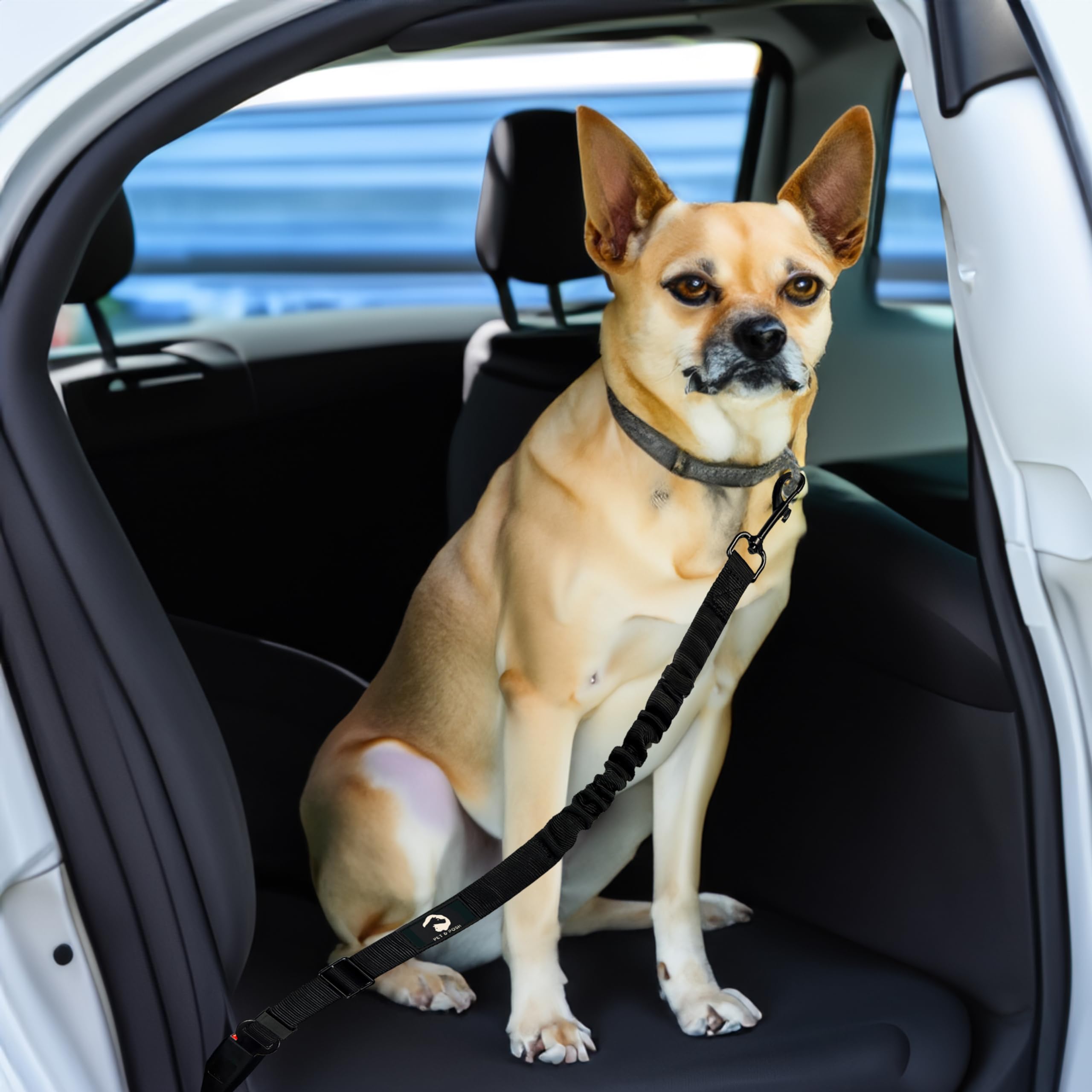 **PawSafe Retractable Adjustable Dog Car Seatbelt - Heavy Duty Elastic Pet Safety Harness with Travel Bowl - Secure & Comfortable for Small Medium Large Dogs - Perfect for Road Trips & Daily Commutes (Black Belts & Bowl)**