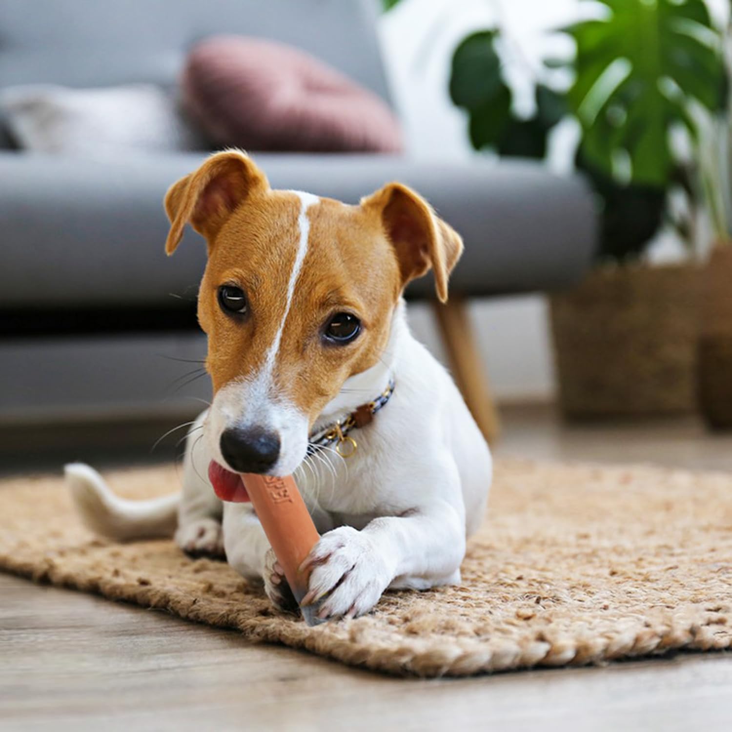 **Squeaky Cigar Dog Chew Toys - Latex Interactive Puppy Teething Toys for Small & Medium Breeds - Fun Imitation Cigar for Playtime & Training (Brown) - Perfect for Indoor & Outdoor Play, Boredom Relief**