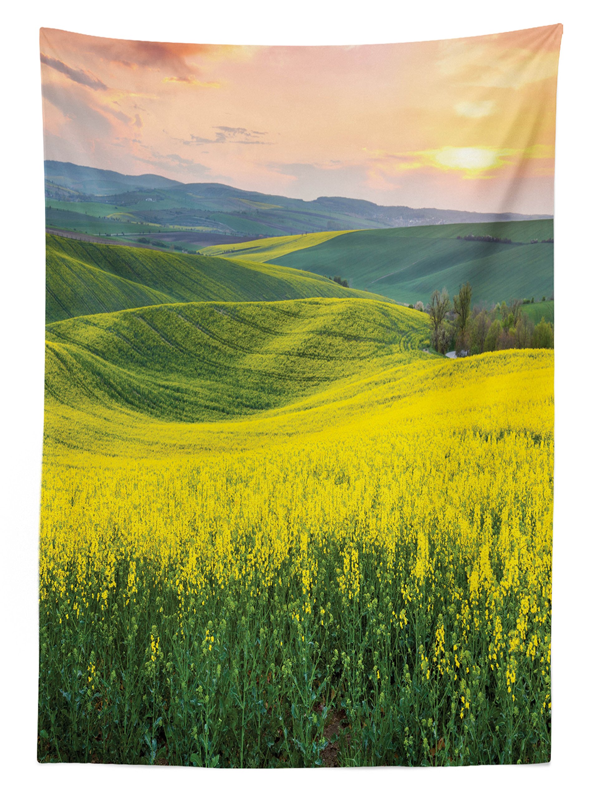 Ambesonne Yellow Outdoor Tablecloth - Spring Wildflower Fields Sunrise Landscape with Colorful Sky & Hills - Washable Picnic Table Cover 58x84 Inches - Perfect for Garden Parties, BBQs, and Outdoor Dining (Yellow & Green)