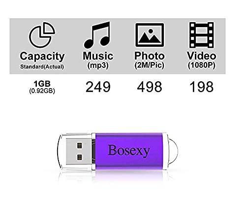 Bosexy 1GB USB Flash Drives 10 Pack - USB 2.0 Thumb Drives with LED & Lanyards for Office & School