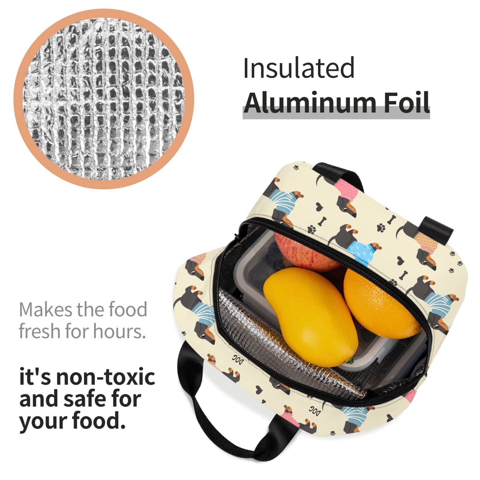 Insulated Dachshund Lunch Box for Women & Men - Reusable Washable Cooler Tote Bag for Office, Work, Picnic & Beach - Lightweight Meal Prep Container for Daily Use & Outdoor Activities