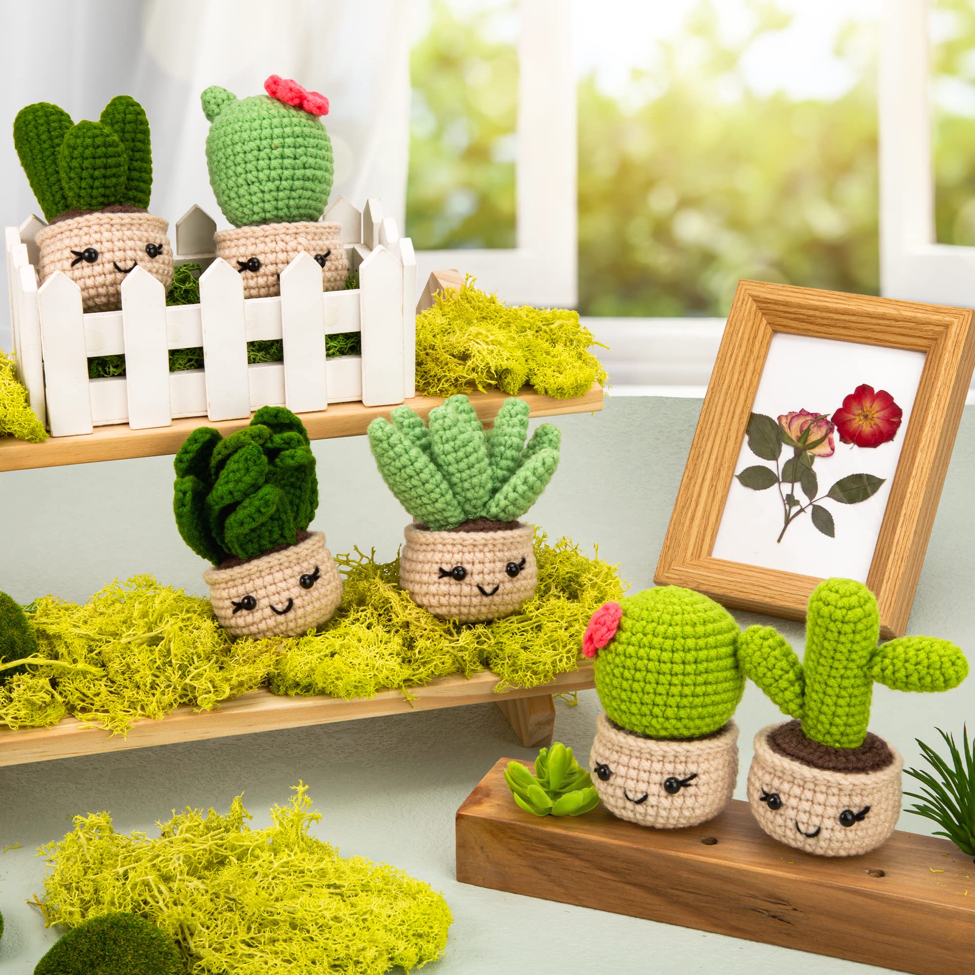 Karsspor Beginner Crochet Kit for Adults - 6 Piece Succulent Crochet Set with Step-by-Step Instructions & Video Tutorials | Complete DIY Crochet Starter Kit for Beginners (Patented) | Perfect for Home Decor, Gifts & Relaxation