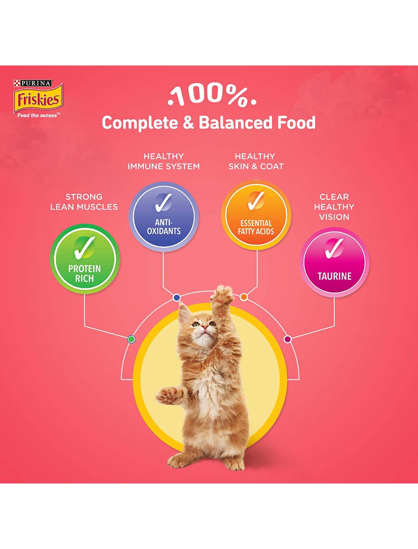Friskies Dry Kitten Food - Natural Chicken Flavor - 14oz (400g) for Growing Kittens - Perfect for Daily Feeding & Training Treats
