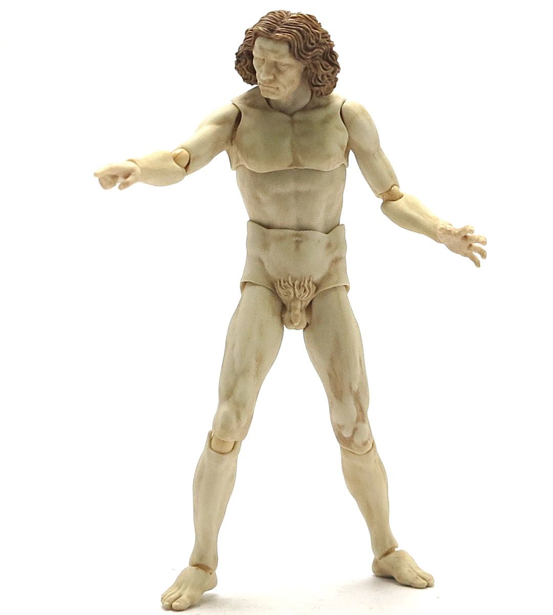 Figma Vitruvian Man (Table Museum) - Leonardo da Vinci Inspired Collectible Figurine for Home Decor, Office Display, and Art Enthusiasts