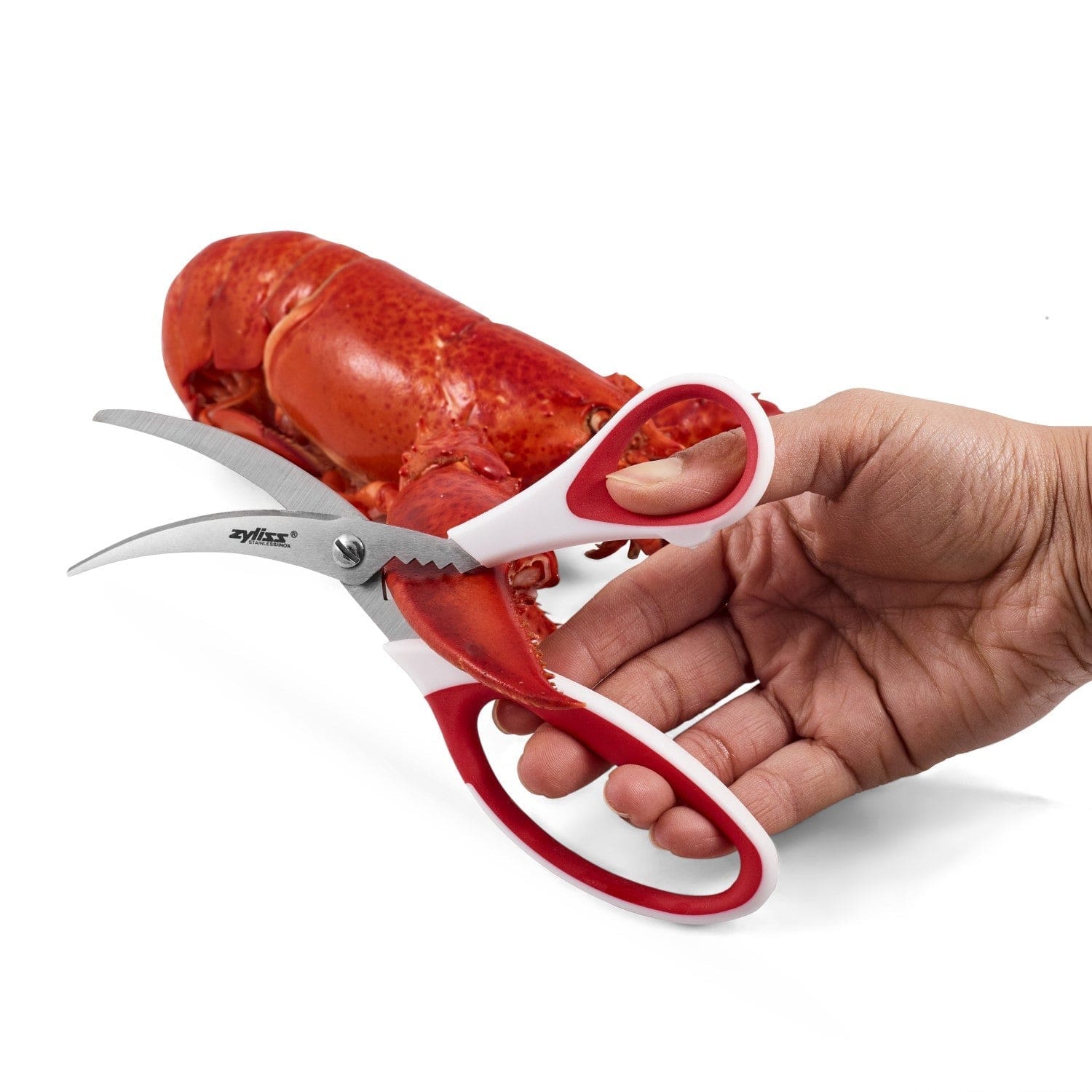 Zyliss Premium Seafood Scissors - Heavy Duty Kitchen Shears for Crab, Lobster & Shellfish - Ergonomic Non-Slip Grip - Dishwasher Safe - Perfect for Seafood Lovers & Home Chefs
