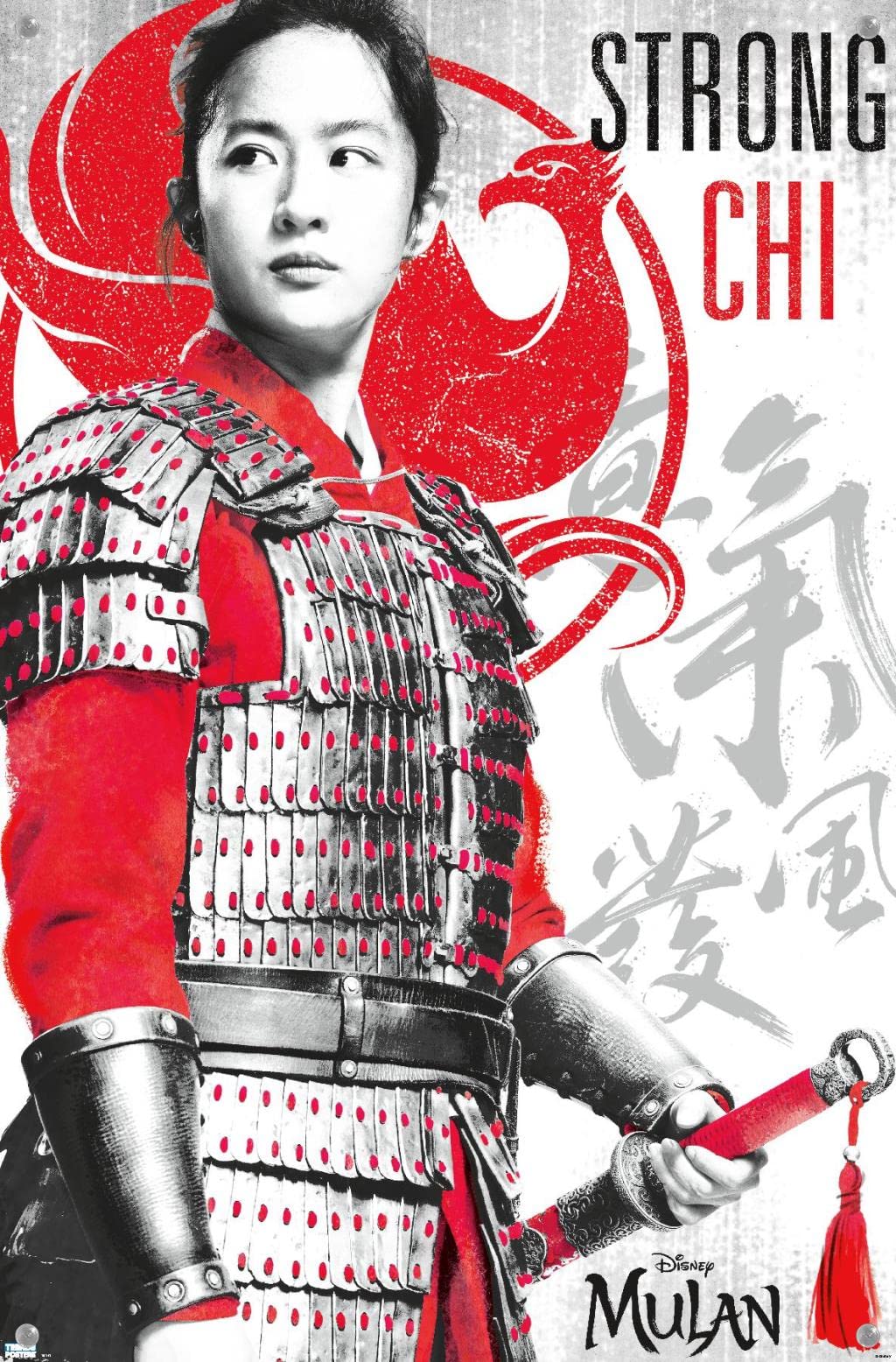 Disney Mulan Wall Poster - Strong & Durable with Push Pins - Perfect for Kids Room Decor, Home Office & Classroom Inspiration