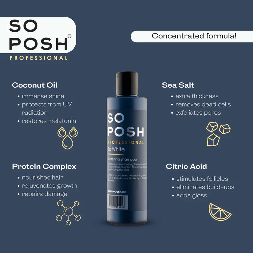So Posh So White Shampoo for Blonde & Gray Hair - Brightening & Toning Formula (3 Sizes: 8oz, 16oz, 32oz) - Perfect for Salon Use & At-Home Hair Care