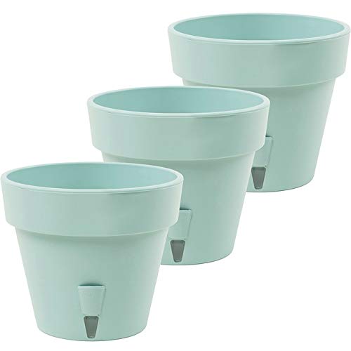 Jade - Set of 3