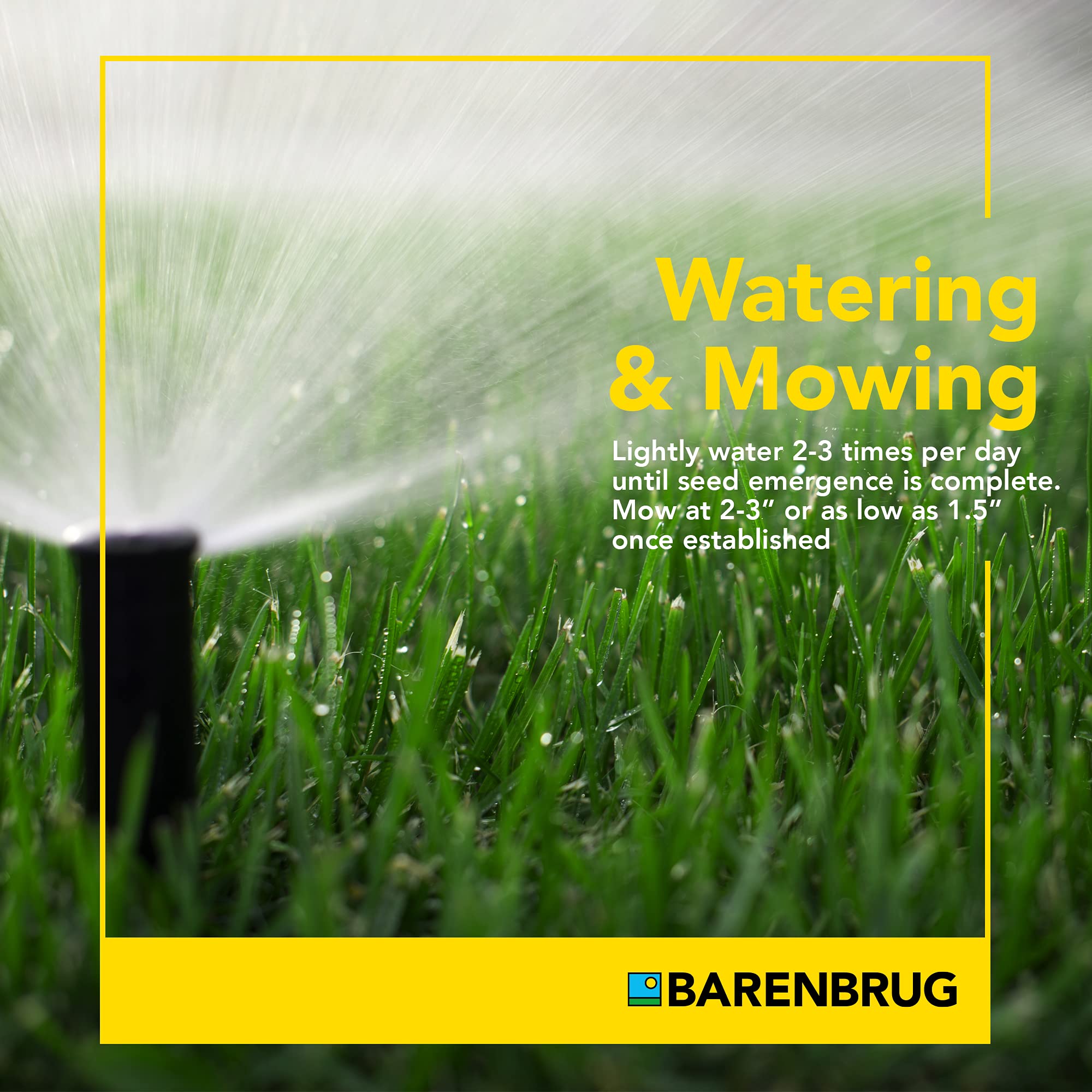 Barenbrug 25626 Turf Sense Athletic Field Grass Seed - 25 LB Bag for Sun & Partial Shade Areas | High-Performance Sports Turf for Football, Soccer & Playgrounds