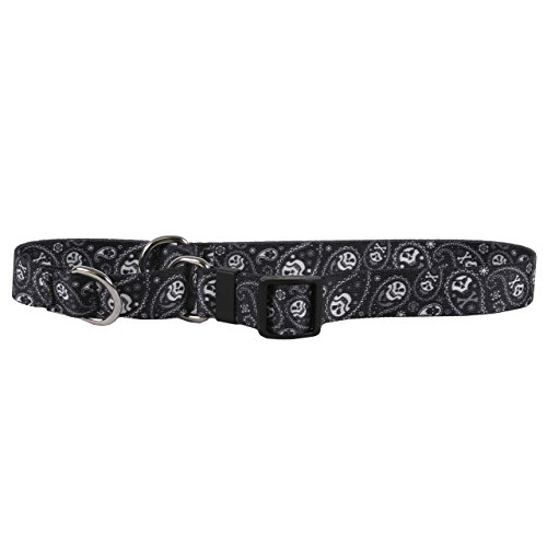 Paisley Skulls Black