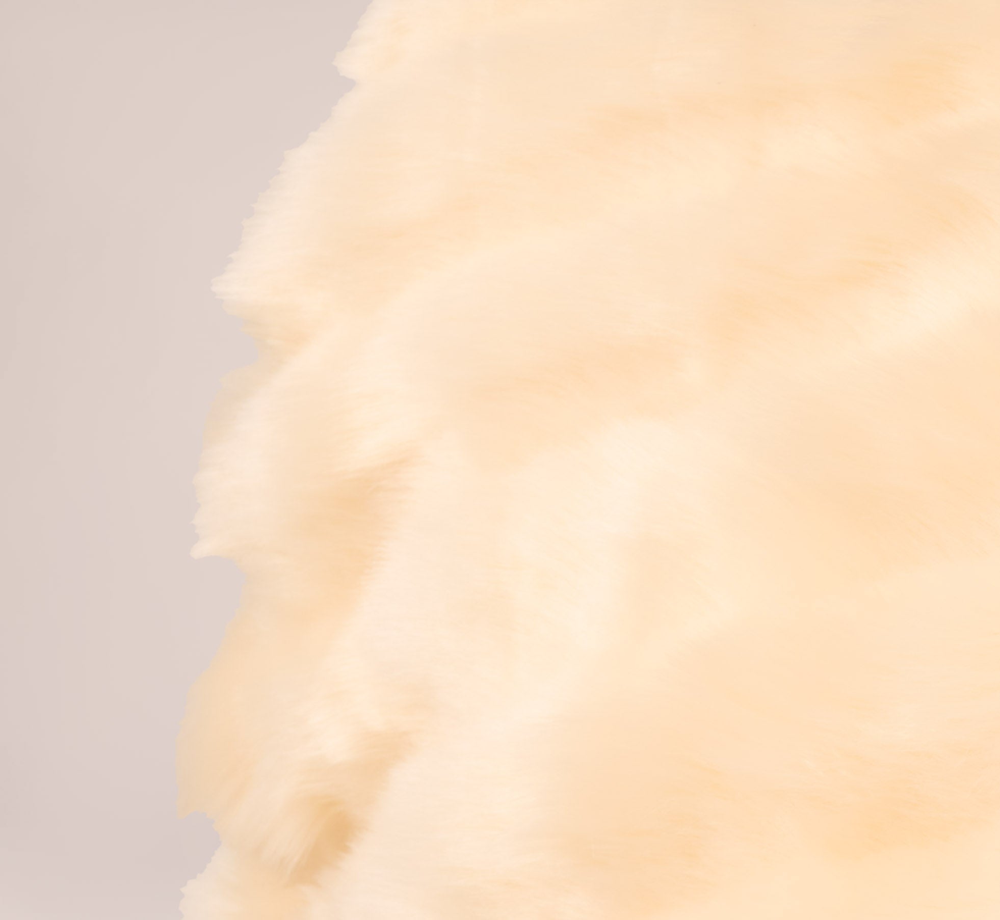 Luxury Champagne Faux Fur Wrap with Elegant Stone Brooch - Perfect for Evening Gowns, Weddings & Winter Fashion Accessories