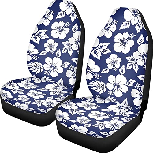 Blue Hibiscus Flowers