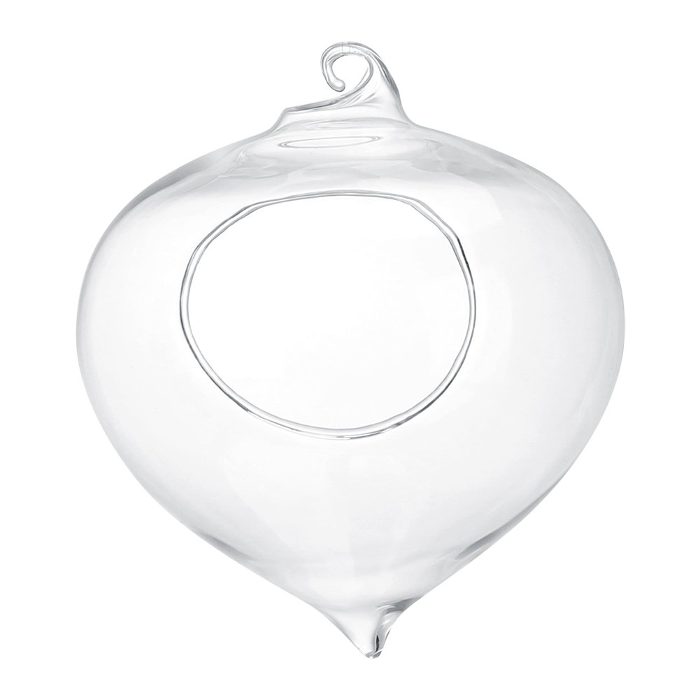 Glass Hanging Planter - Teardrop-Shaped Air Plant Pot & Terrarium Vase for Succulents, Herbs, Flowers | Perfect for Office Decor, Home Garden, Indoor & Outdoor Hanging Plants