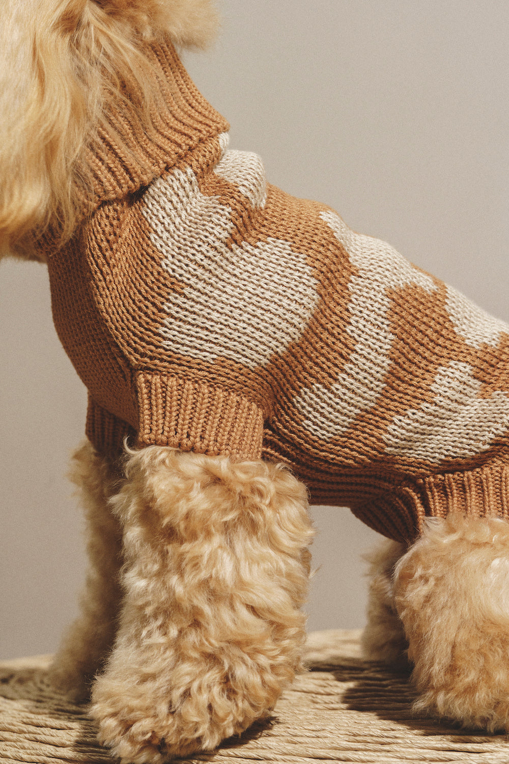 Dog Cardigan - Soft Pony Cotton Knit Sweater for Small Dogs - Cozy Winter Outfit for Indoor & Outdoor Use