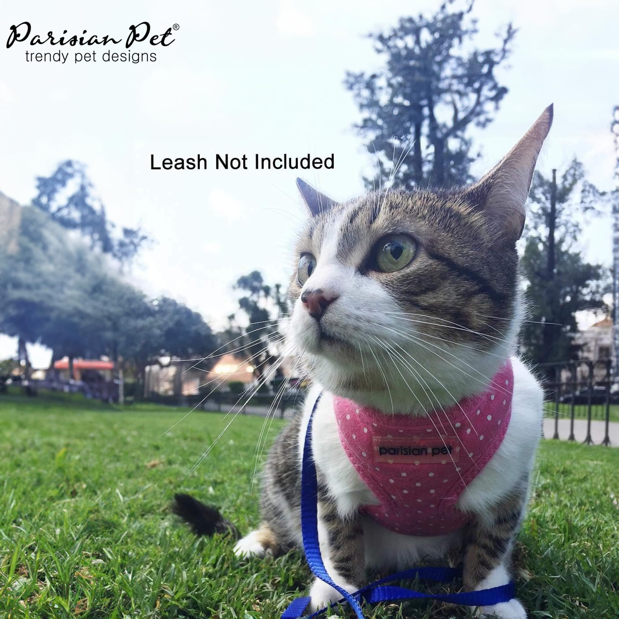 Parisian Pet Girl Adjustable Dog Harness - Breathable Mesh No-Pull Vest for Small Dogs - Polka Dot Cooling Puppy Harness for Walking, Running & Hiking - Perfect for Outdoor Adventures & Daily Walks - Size S