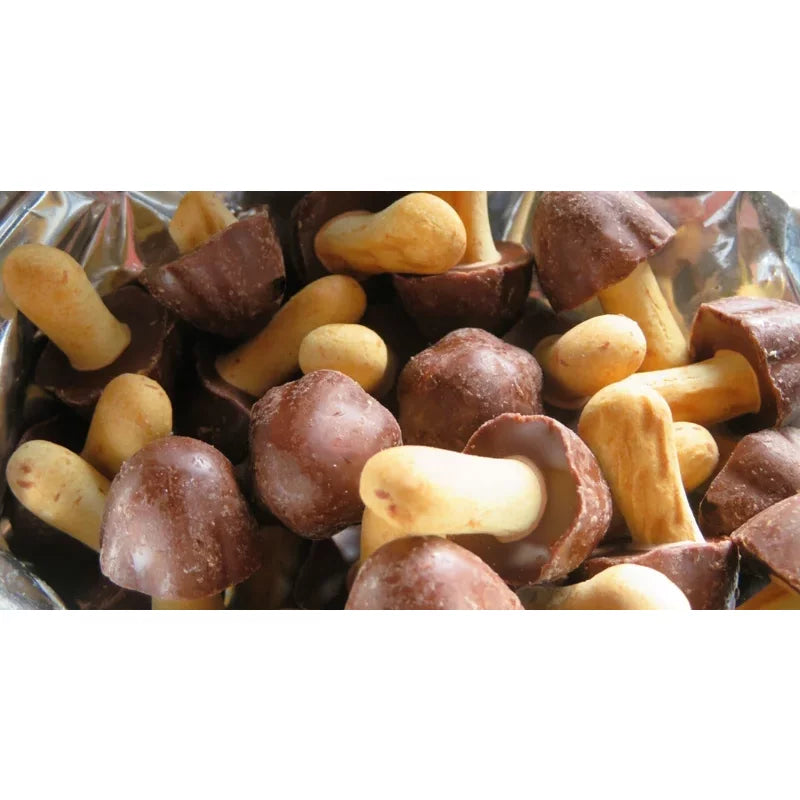 Meiji Kinoko No Yama Mushroom Shaped Chocolate Biscuit Snacks - 10 Pack | Japanese Treats for Parties, Gifts & Tea Time