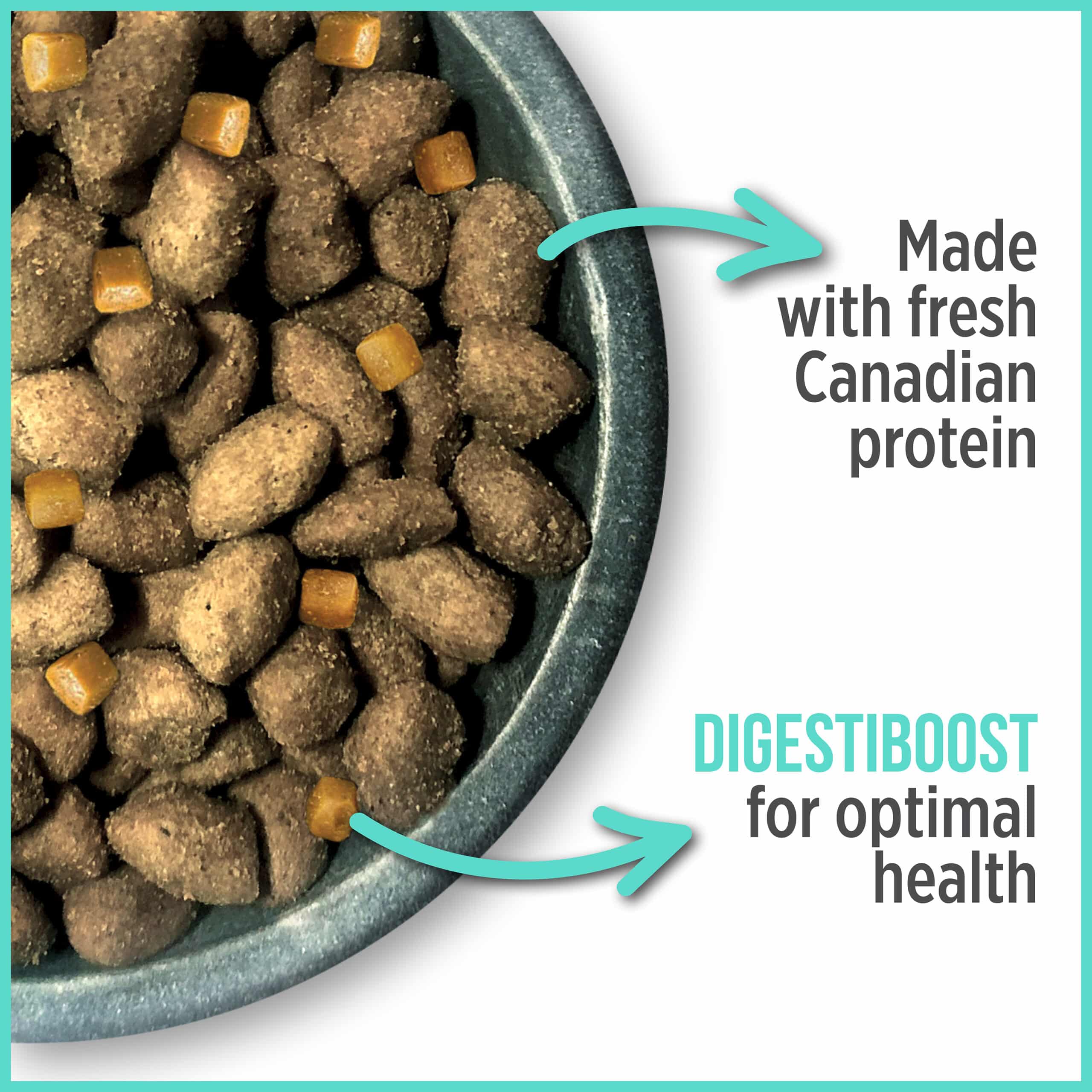 Nutrience Care+ Oral Health Dry Cat Food for Adult Cats - Dental Care & Tartar Control - Premium Kibble for Healthy Teeth & Gums - Perfect for Indoor & Outdoor Cats