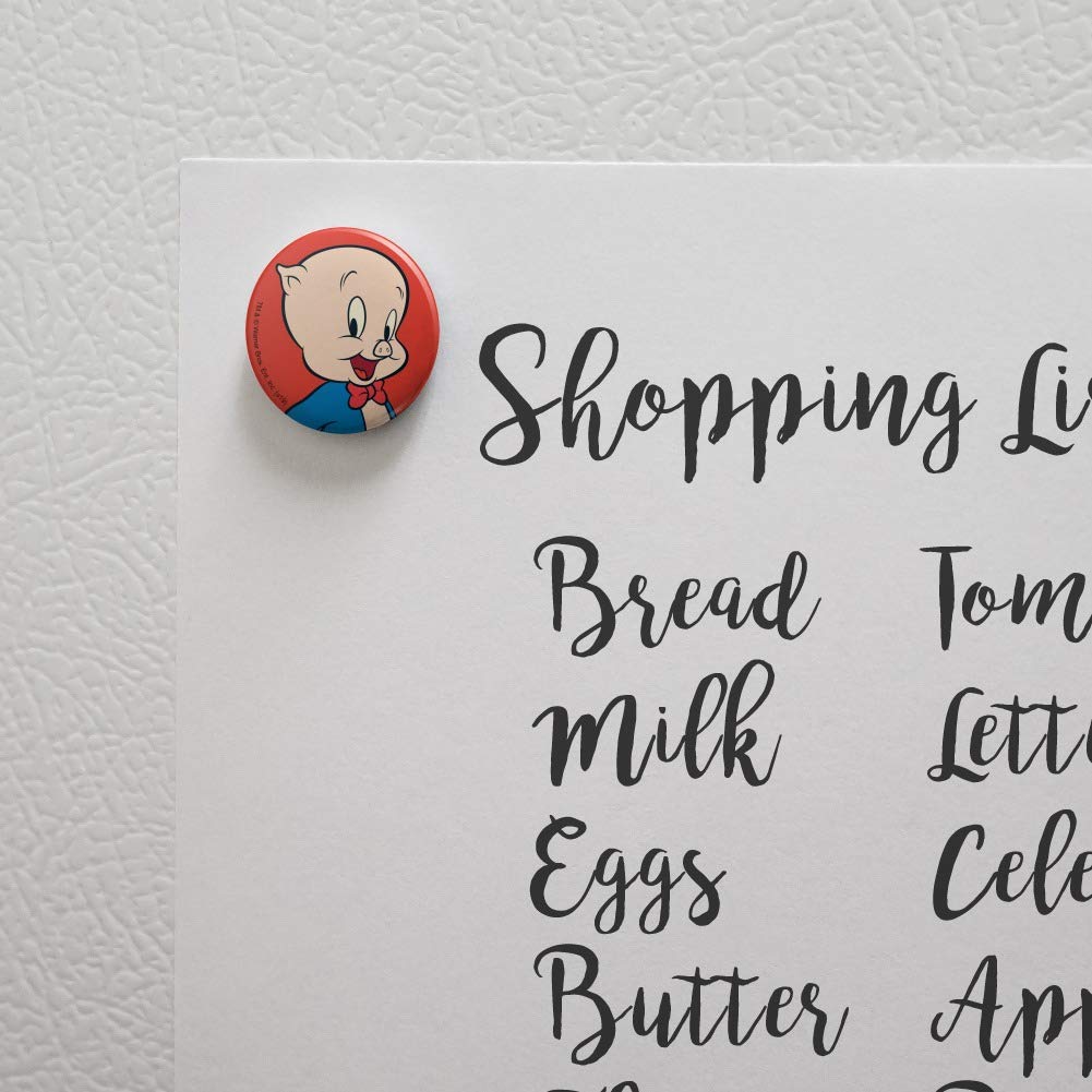 Looney Tunes Porky Pig Fridge Magnet - Funny Cartoon Character Kitchen Decor for Refrigerator, Locker & Office - Perfect for Home, Office & Gifts