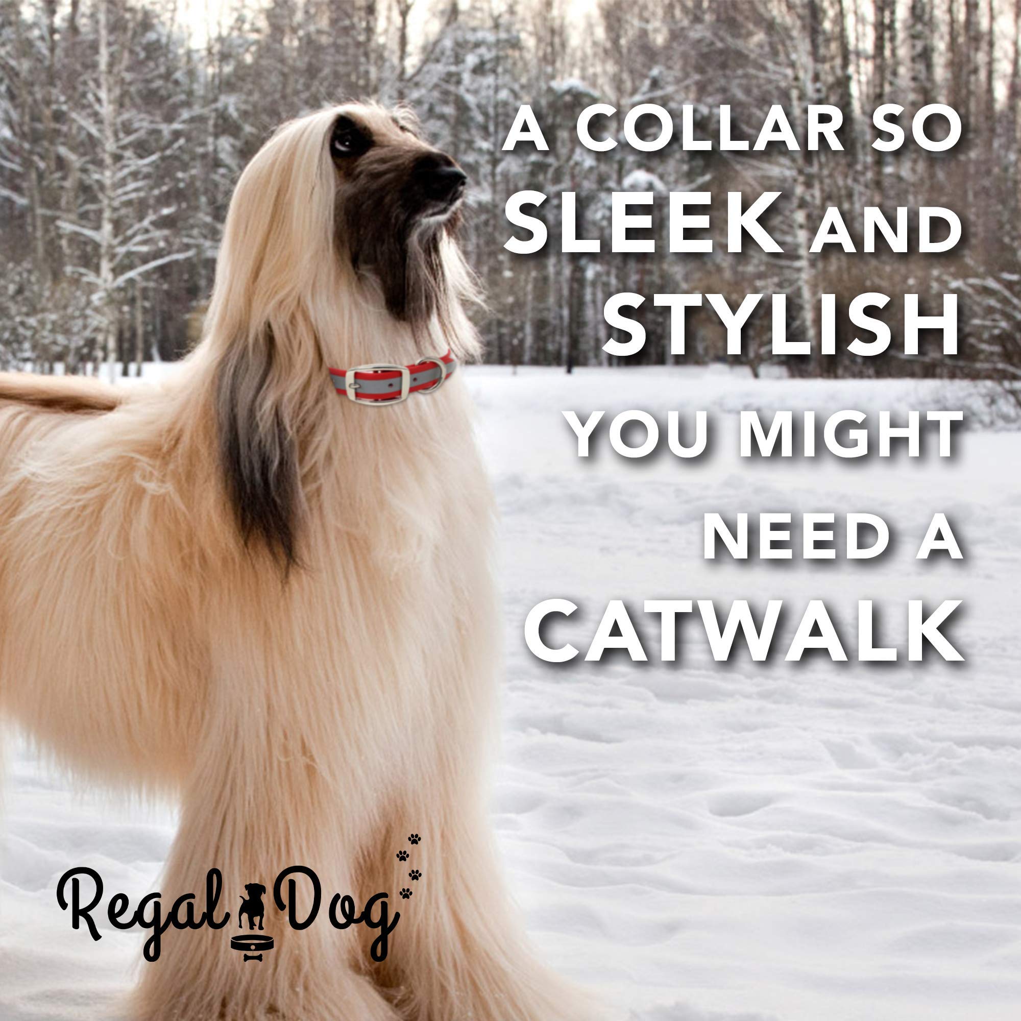 Regal Dog Products Heavy Duty Reflective Dog Collar - Large Orange Adjustable Collar with Durable Metal Buckle & D-Ring | Chew Proof & Waterproof Design for Small, Medium & Large Dogs | Perfect for Night Walks, Hiking & Outdoor Adventures