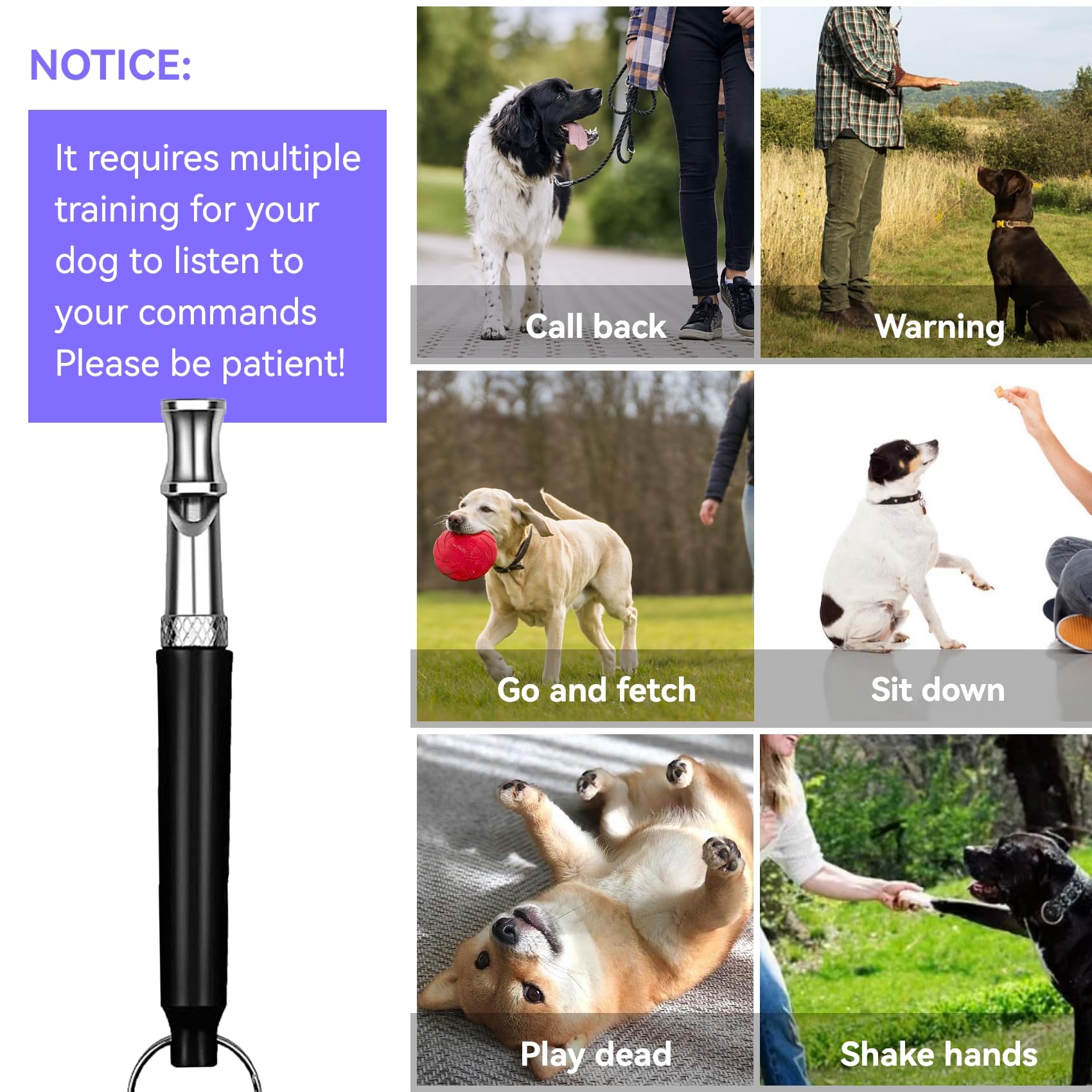 2PCS Silent Dog Whistle with Black Lanyard - Stainless Steel Bark Control Tool for Pet Dogs, Stop Excessive Barking, Obedience Training - Perfect for Outdoor Adventures, Hunting & Home Use (Black)