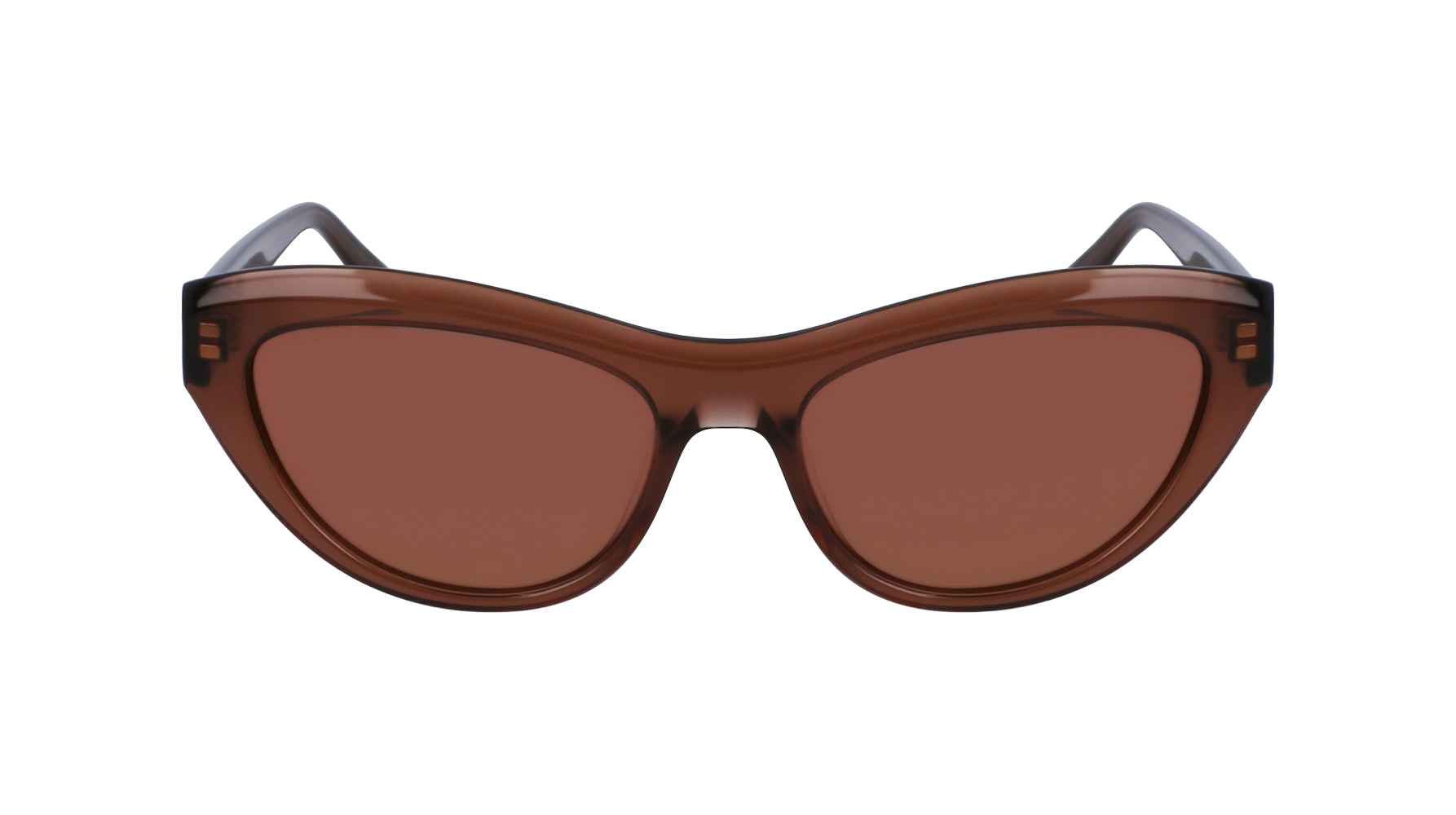 Ferragamo SF1103S Sunglasses for Women - Luxury Designer Shades with UV Protection - Perfect for Outdoor Activities, Travel, and Fashion Accessories