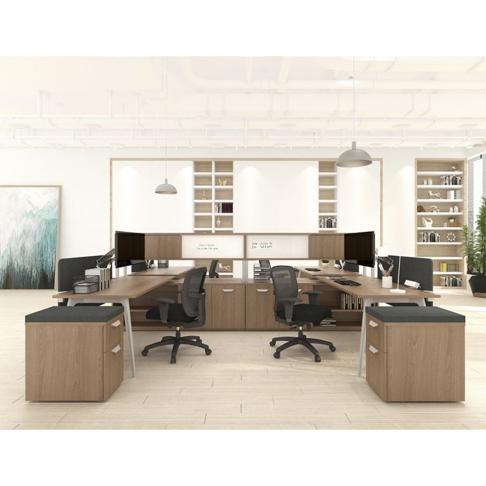 Friant BJ MM2242BT MidZONE Ergonomic Mid Back Task Chair with Lumbar Support - Perfect for Office, Home Workspace & Computer Desk Use