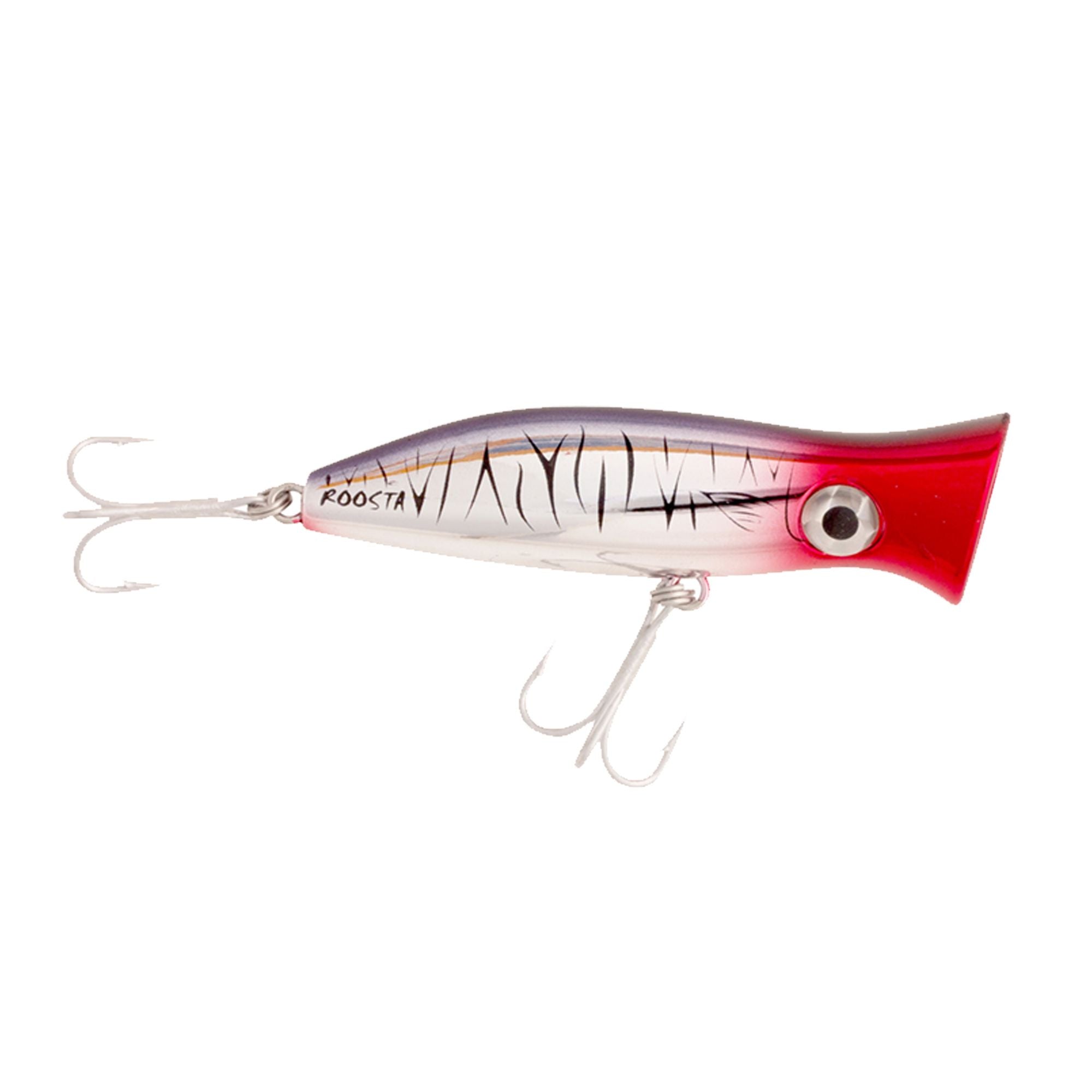 Bait Fish