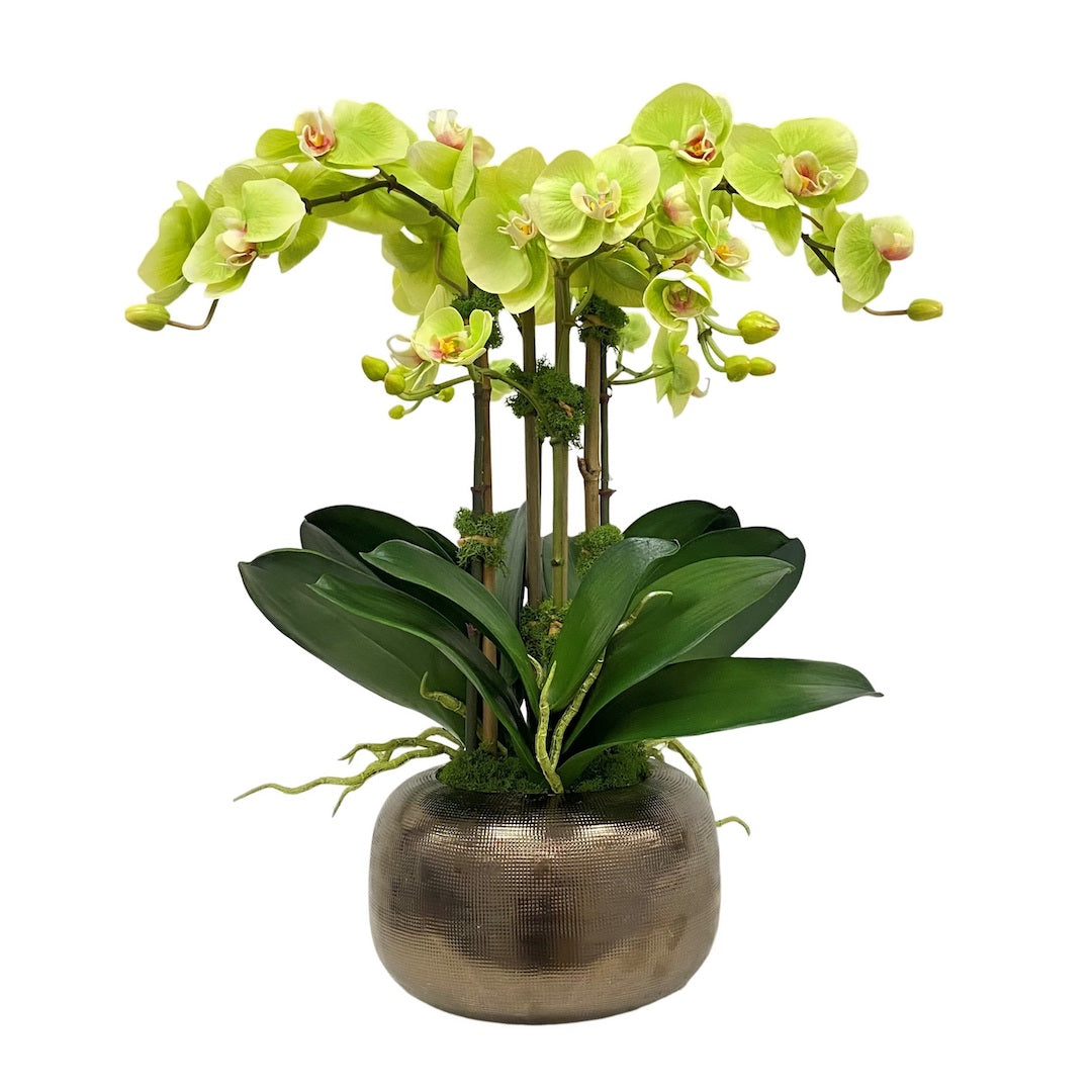 Tremé Chartreuse Orchids - Exotic Artificial Silk Flowers for Home Décor, Wedding Centerpieces & Party Arrangements