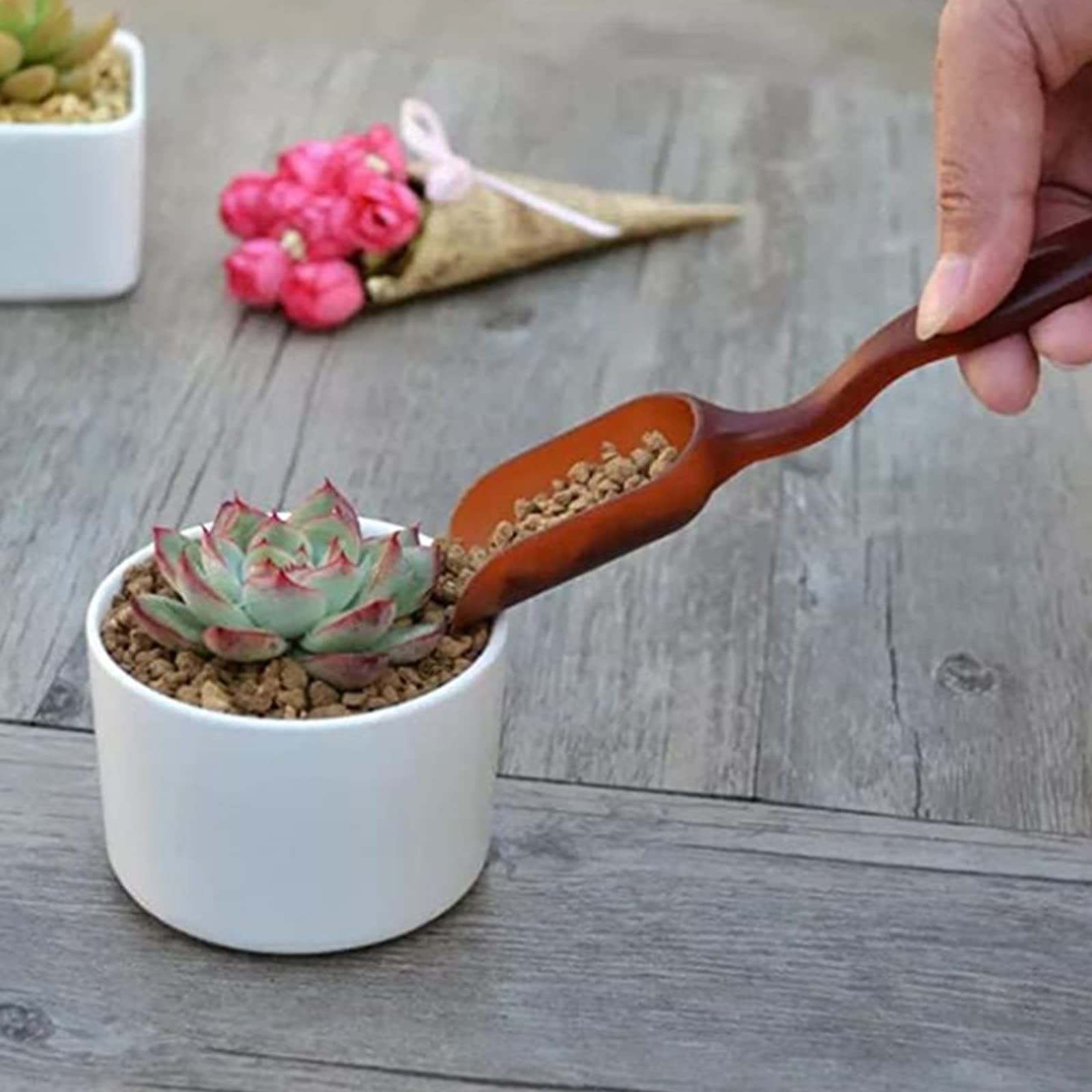 Kingsea 14-Piece Succulent Plant Tool Kit - Mini Garden Hand Transplanting Tools for Bonsai, Fairy Gardens & Plant Care | Perfect for Indoor Succulent Arrangements, Fairy Garden DIY & Home Gardening