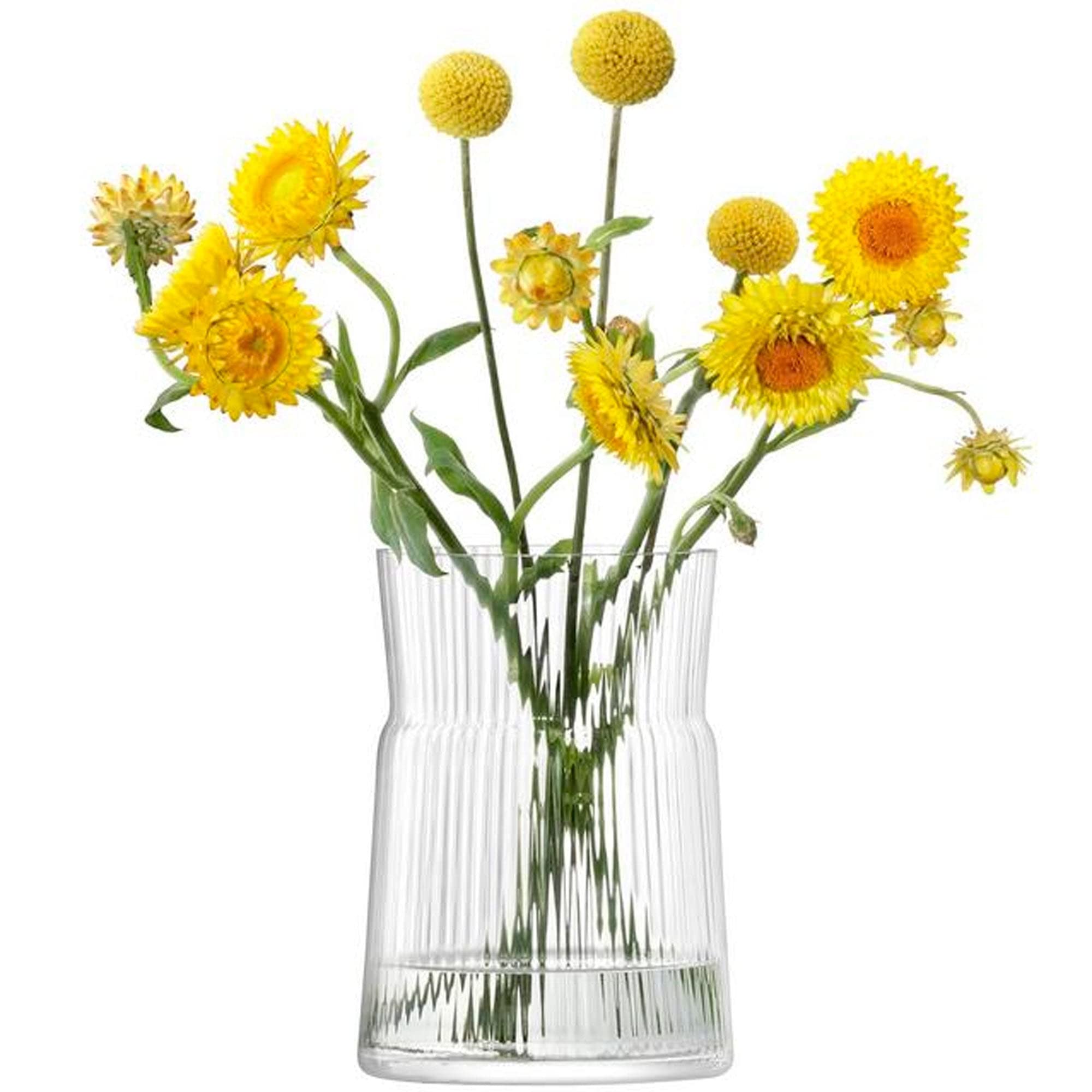 LSA International Gio Line Glass Lantern and Vase - 11.5 Inch Clear Decorative Piece for Home, Wedding, and Outdoor Decor