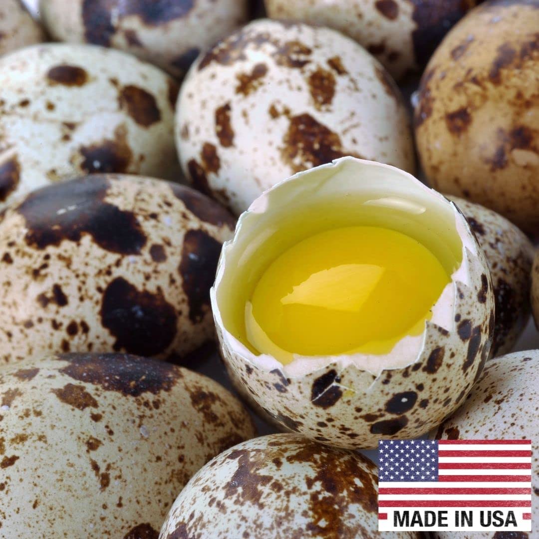 Fresh Quail Eggs - Medium Size (20 Count) - Farm-Raised in USA | Perfect for Baking, Cooking & Healthy Breakfast Recipes