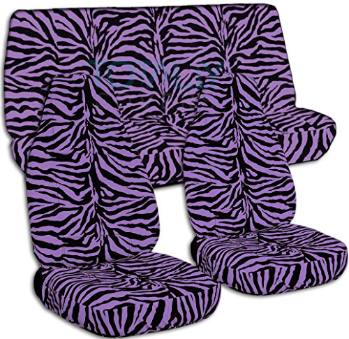 Purple Zebra
