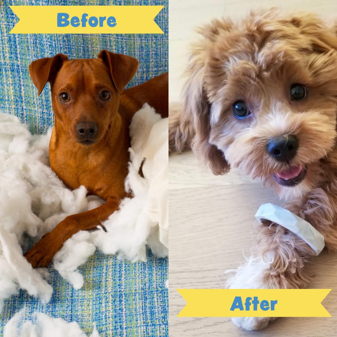 Sweet Paws Puppy Teething Rings - 4 Pack, Food Grade Silicone Chew Toys for Small to Medium Dogs, Puppy Teething Relief & Nipping Solution (0-6 Months) - 80s Retro Design - Perfect for Soothing Sore Gums & Training Playtime