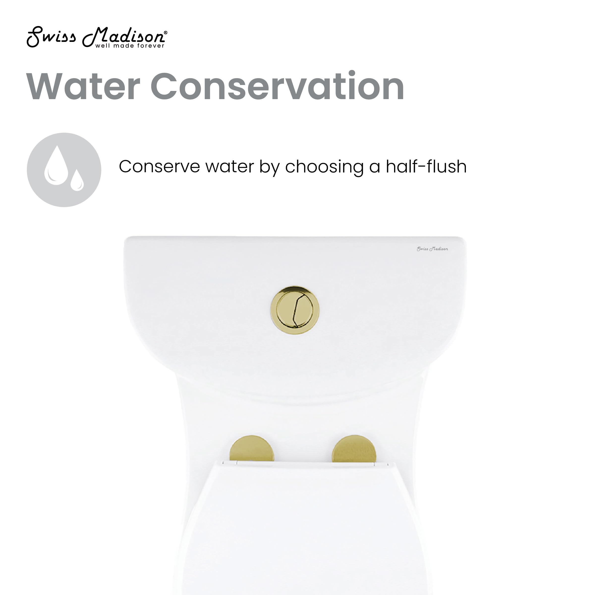Premium One Piece Elongated Toilet with Dual Flush Technology - 1.1/1.6 GPF, Brushed Gold Hardware - Perfect for Modern Bathrooms & Luxury Homes