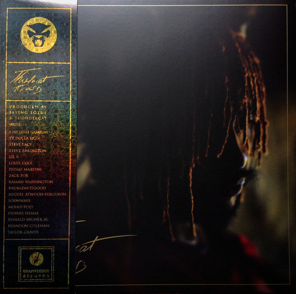 Thundercat 