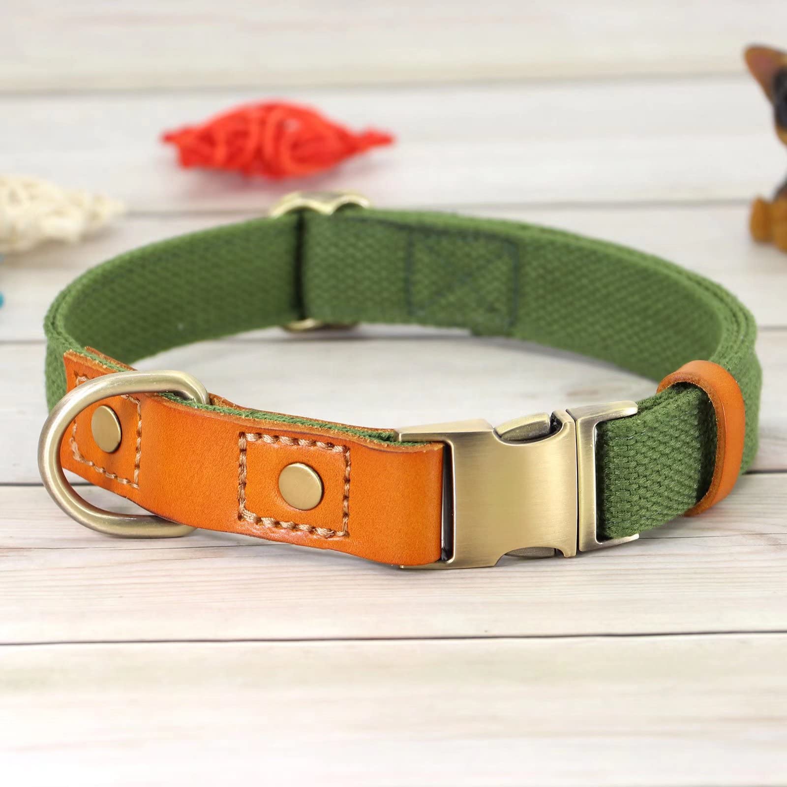 Durable Adjustable Dog Collar with Metal Buckle for Small, Medium & Large Dogs - Green Size M | Perfect for Daily Walks, Training & Outdoor Adventures
