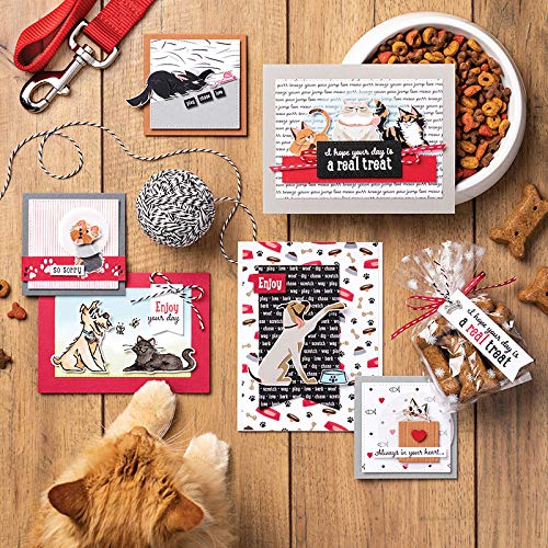 Lazy Cats & Happy Dogs Metal Cutting Dies and Clear Rubber Stamps Set - Card Making, Scrapbooking, Photo Album Decor - DIY Paper Crafting Stencil Dies for Friendship Cards & Memory Books