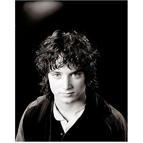 Lord of the Rings Elijah Wood as Frodo 8x10 Inch Photo - Premium Collectible Movie Memorabilia for Fans & Home Decor