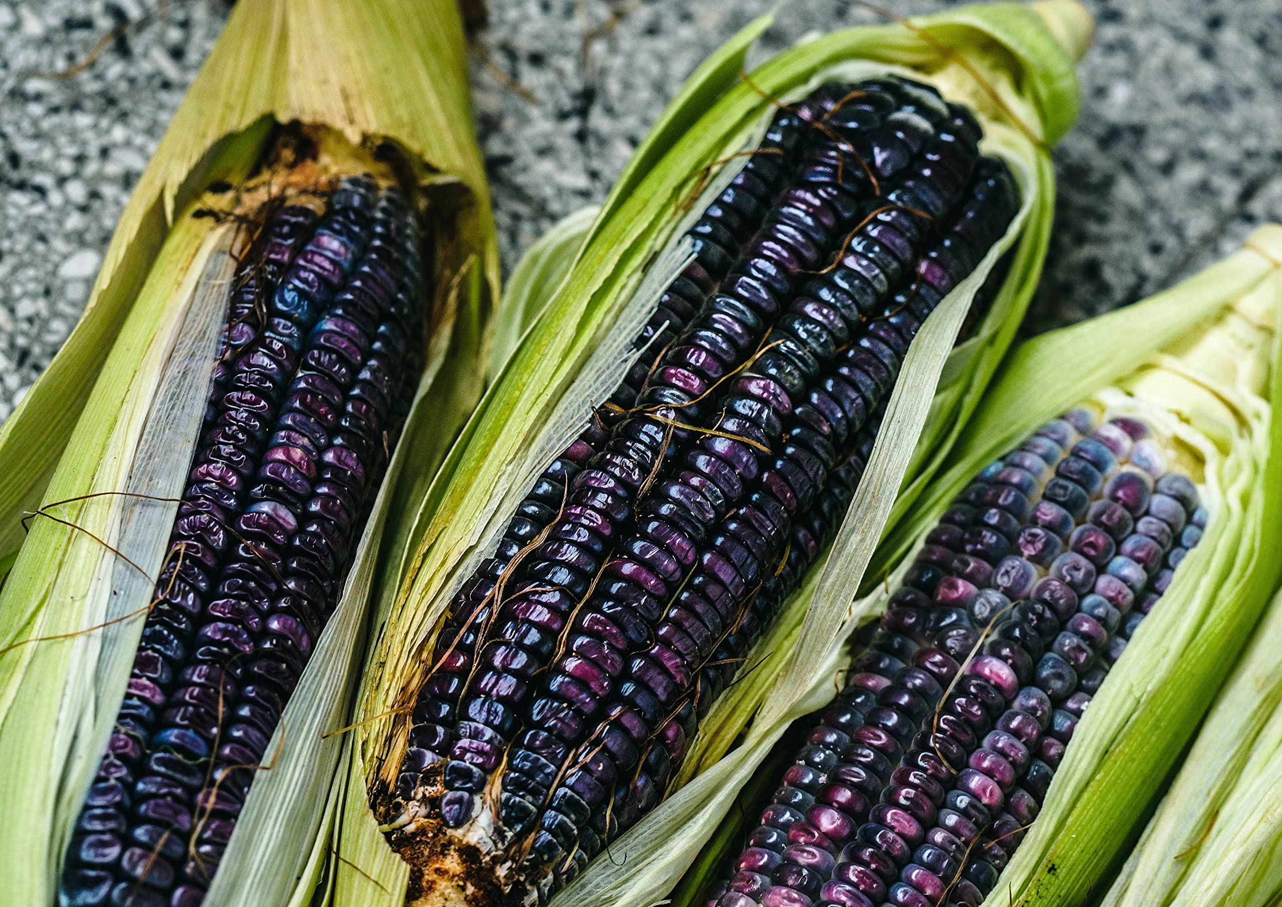 Organic Non-GMO Blue Corn Kernels - 20 lb Bulk Whole Dried Corn for Grinding | Vegan Cereal Grain Rich in Vitamin B6 & Phosphorus | Perfect for Soups, Stews, Casseroles, Tamales & Cornbread Baking