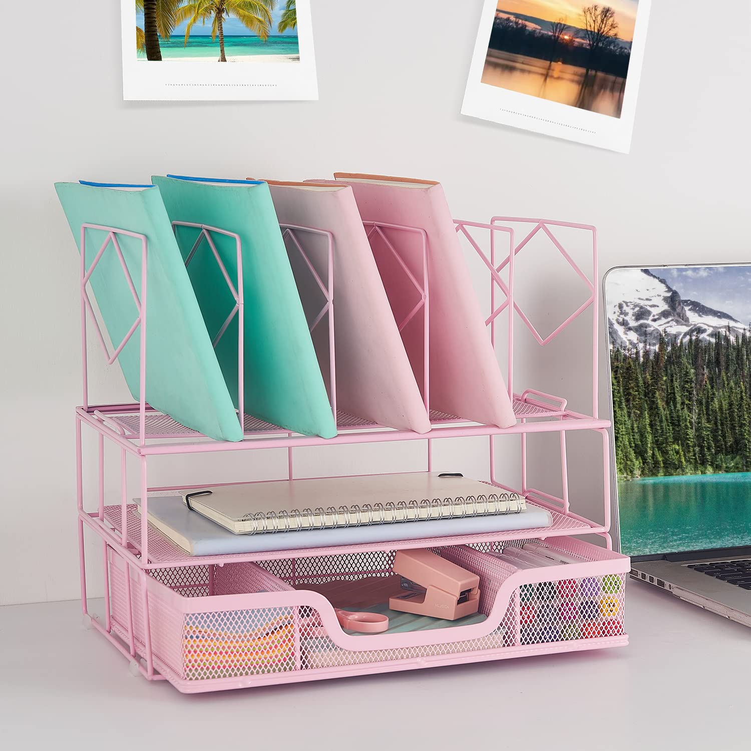Gianotter Office Catalog Racks - 5 Compartment Desk Organizer & Magazine File Holder for Office Supplies (Pink) | Perfect for Organizing Documents, Files, and Stationery on Your Workspace