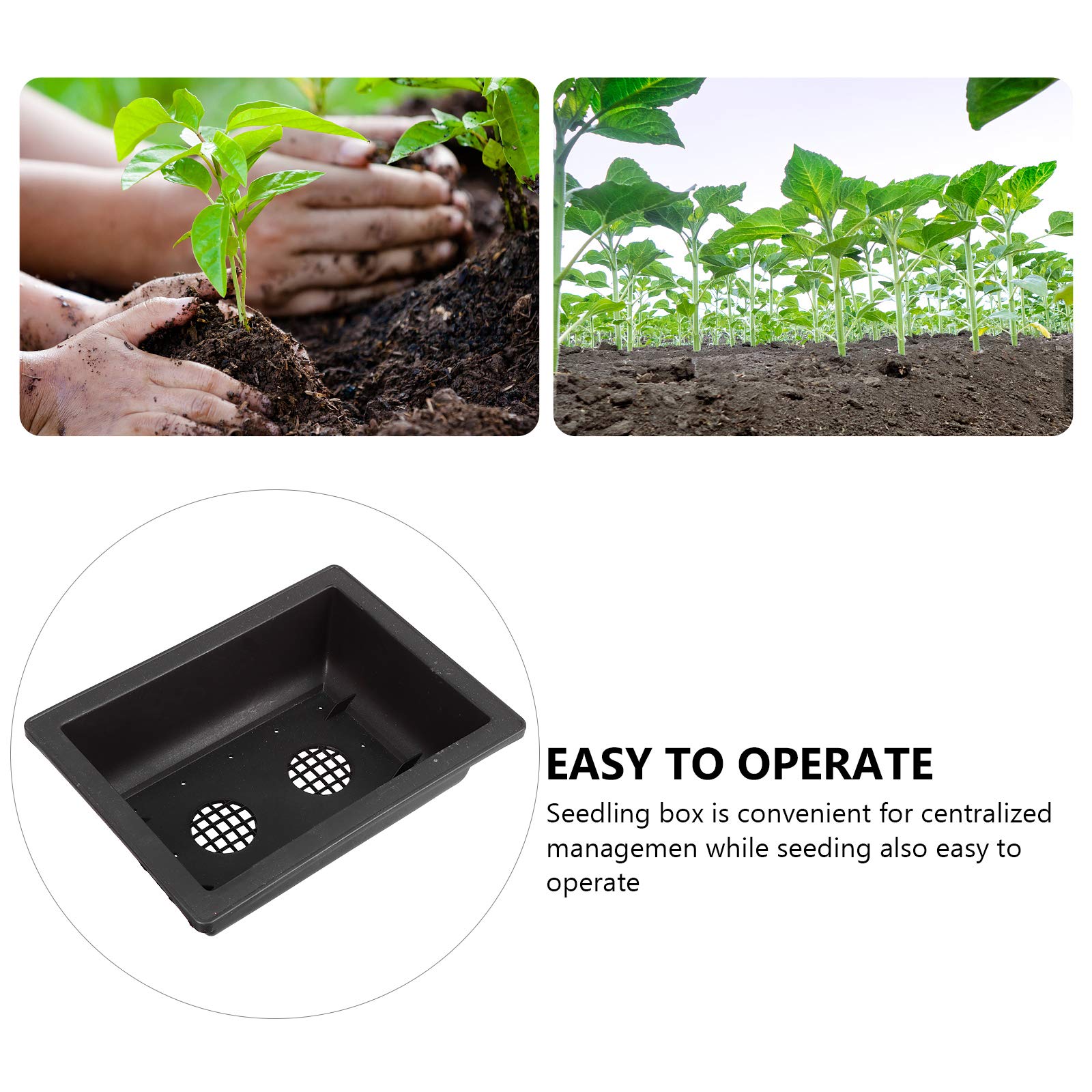 5 Pack Plastic Seedling Pots for Succulents, Flowers & Plants - Small Garden Flower Pots with Drainage Holes, Indoor/Outdoor Plant Containers for Home Gardening, Balcony & Office Decor